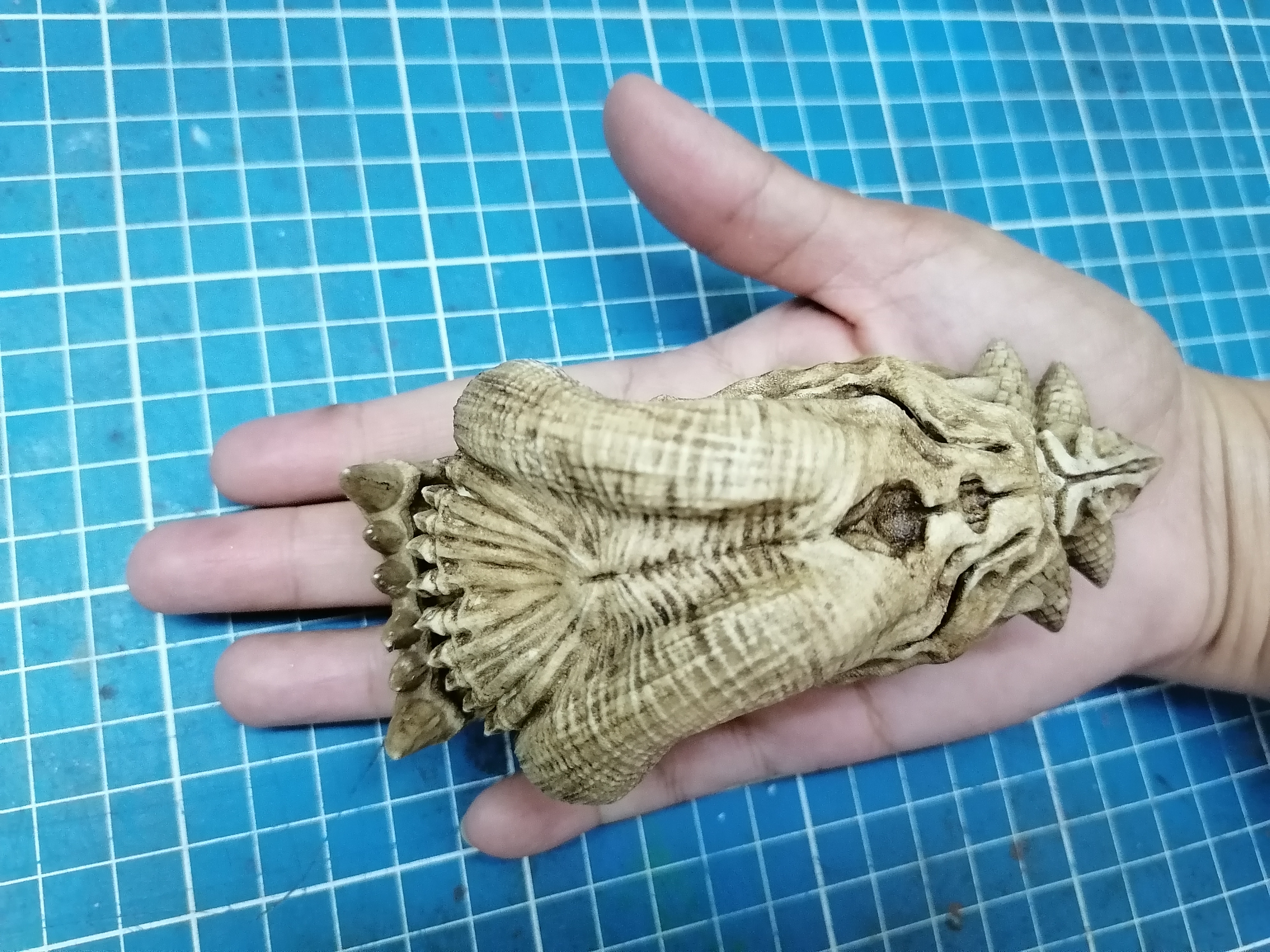 Alien skull "Predator 2" 1/6 scale (Trophy Skull)