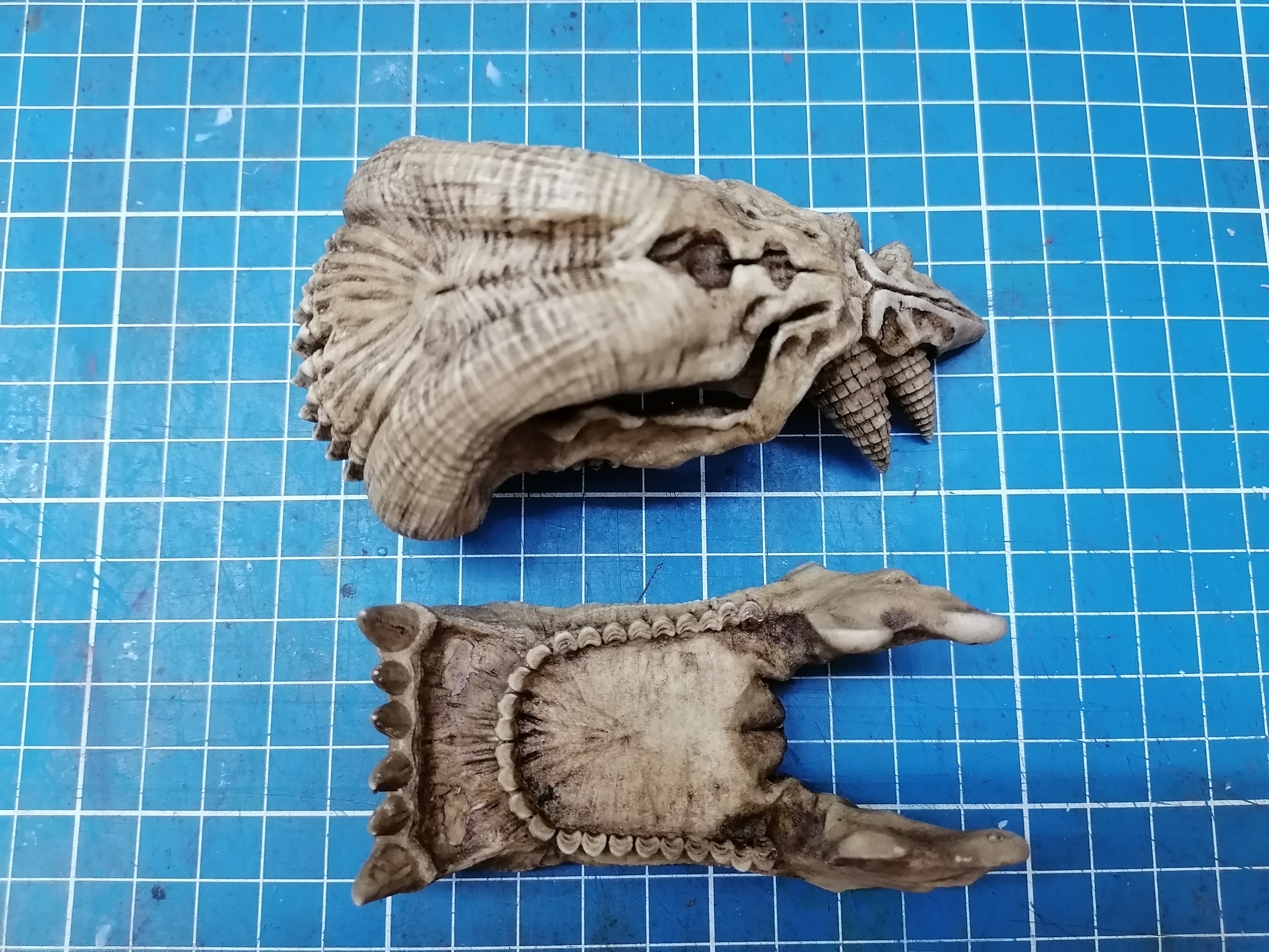 Alien skull "Predator 2" 1/6 scale (Trophy Skull)