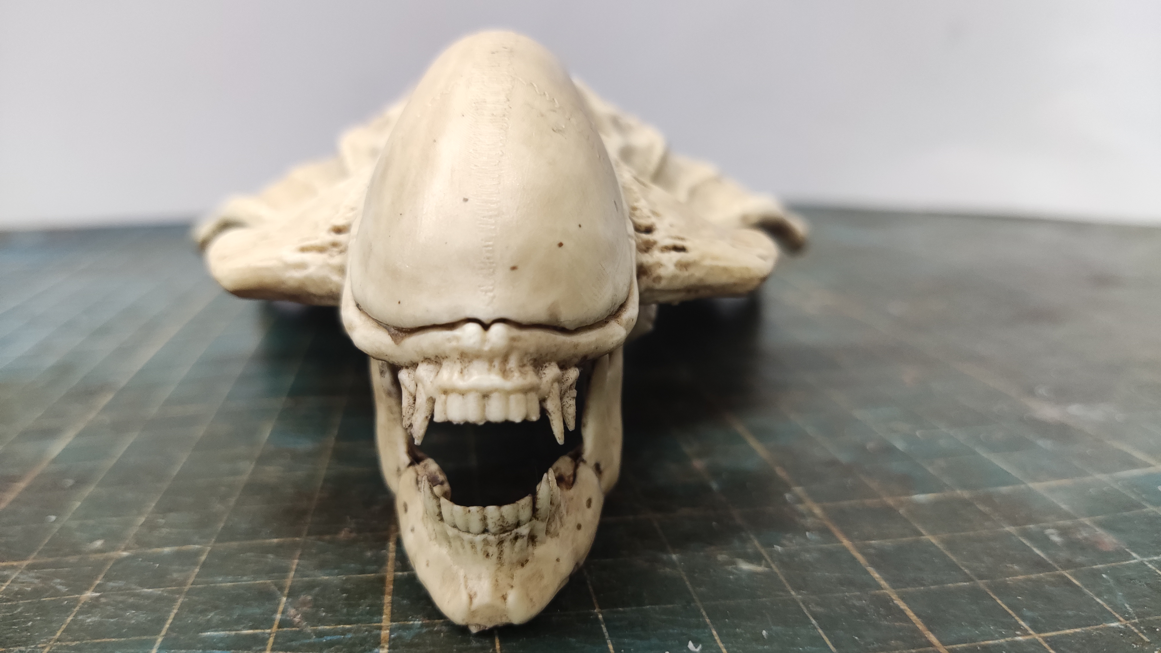 Praetorian Alien Skull based on Giger art