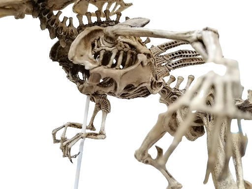 Alien Queen Skeletal 1/12 size "NECA Size"