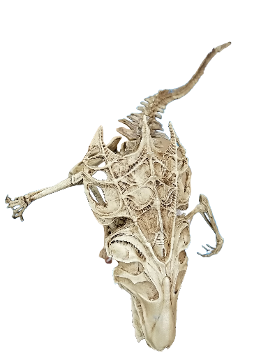 Alien Queen Skeletal 1/12 size "NECA Size"
