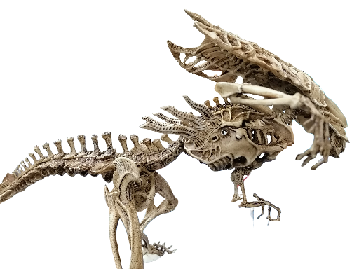Alien Queen Skeletal 1/12 size "NECA Size"