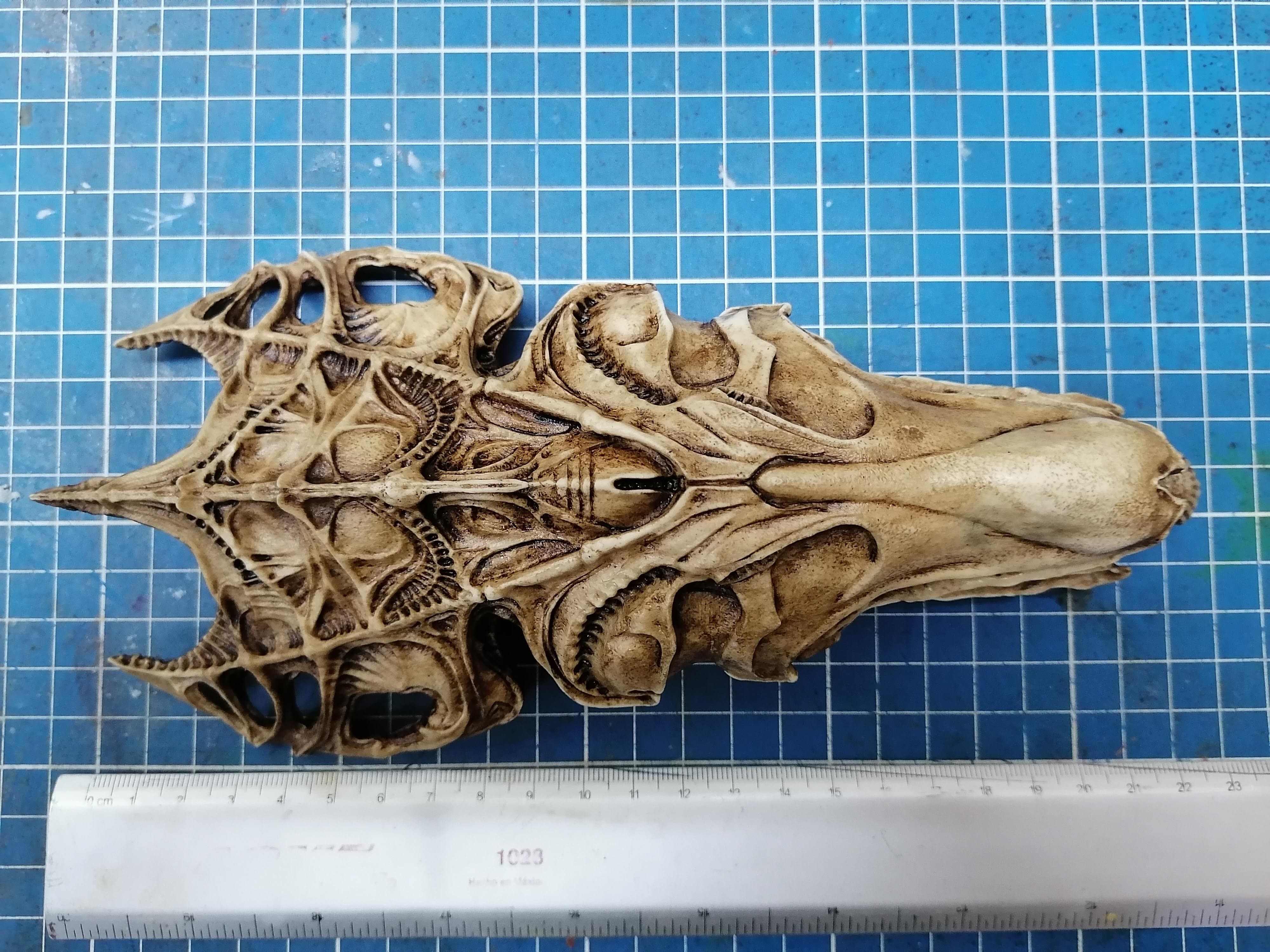 Alien Queen Skull "1/12 scale"