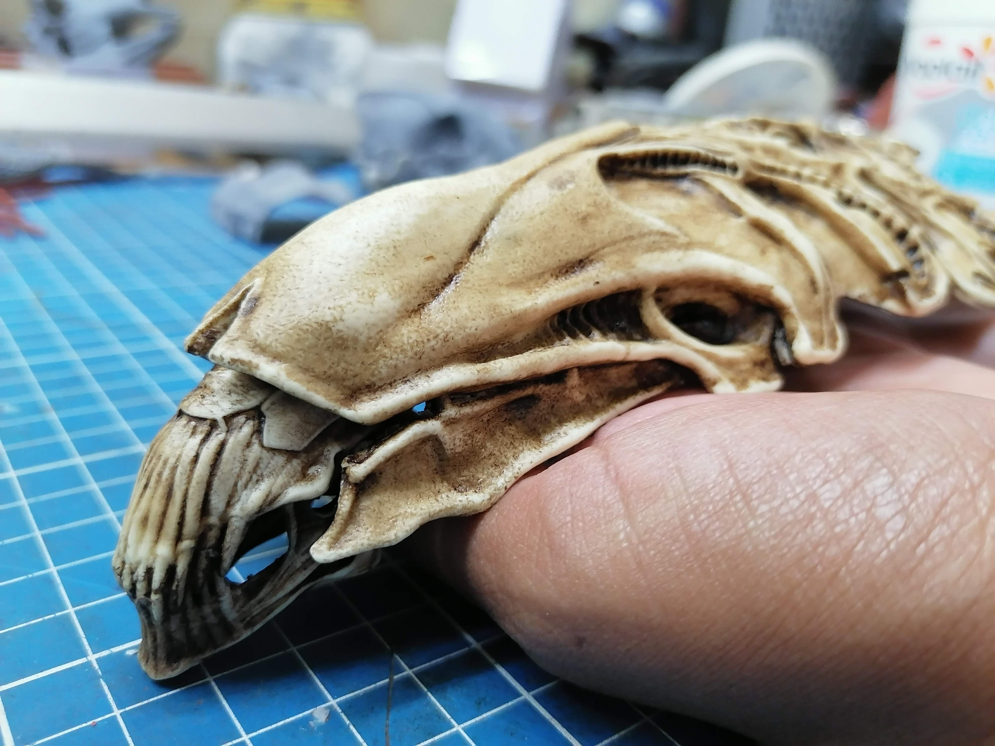 Alien Queen Skull "1/12 scale"