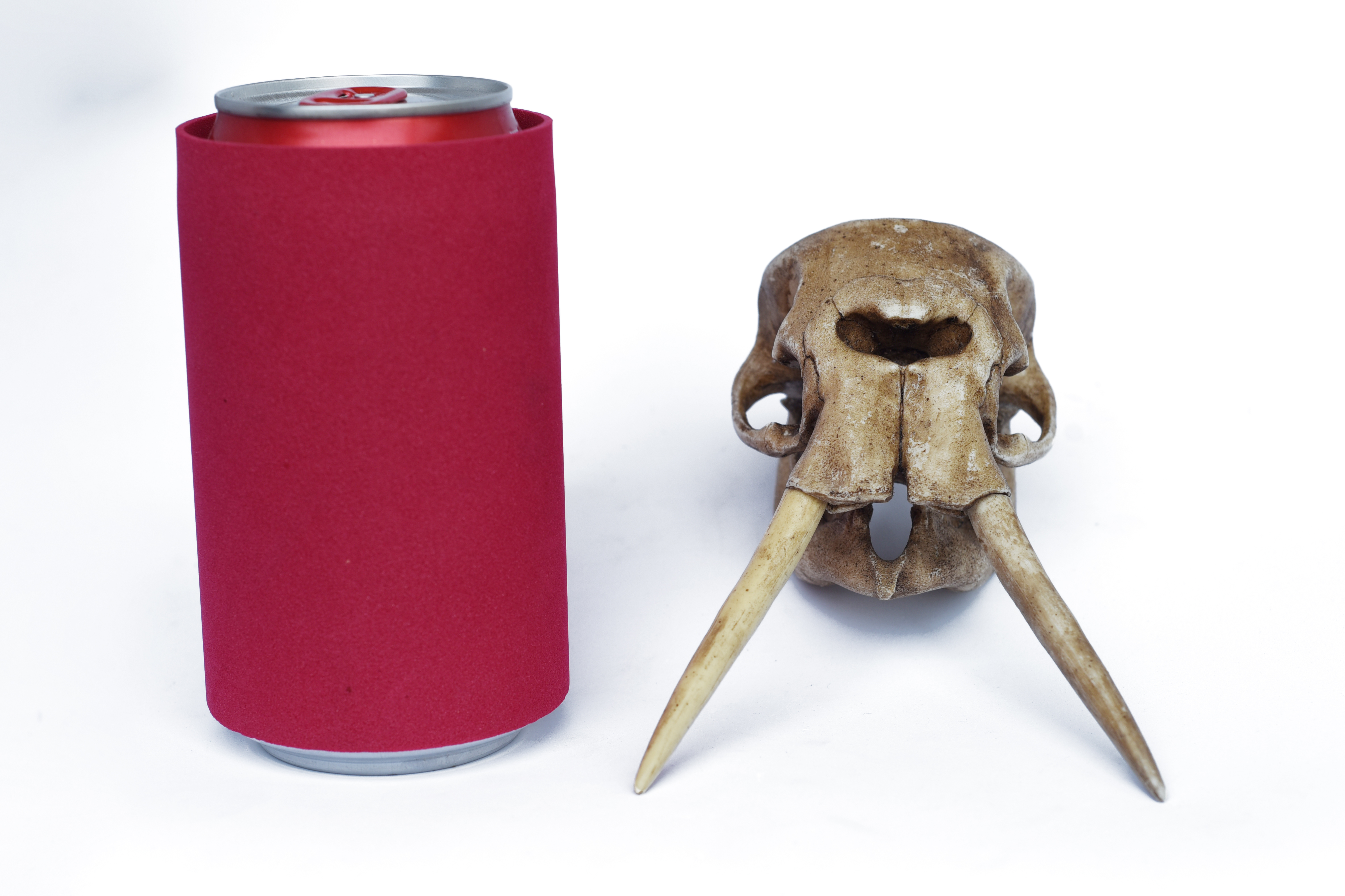 Antique Elephant Skull 1/12 scale