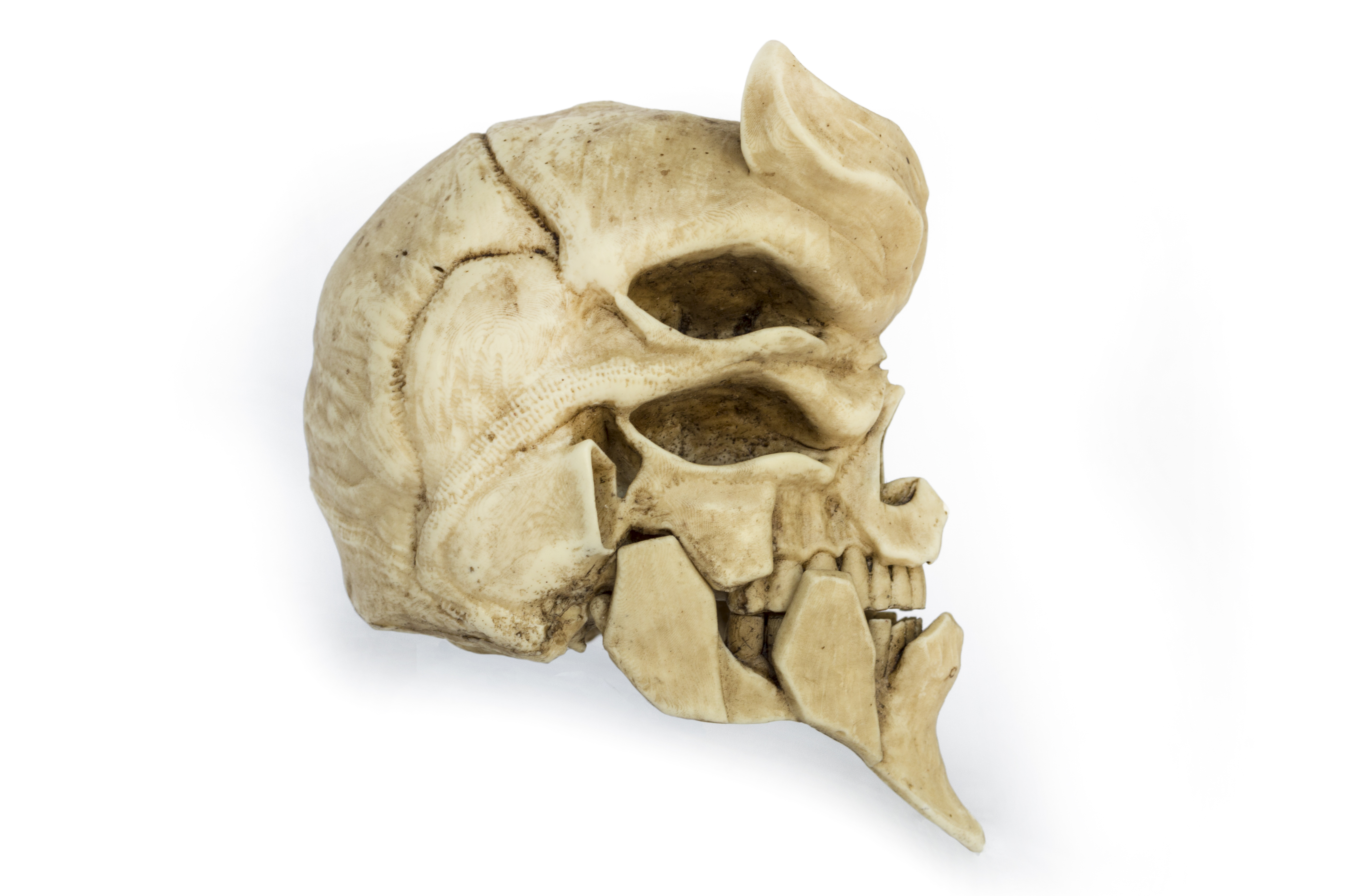 EVA02 Skull (Evangelion) Moveable jaw