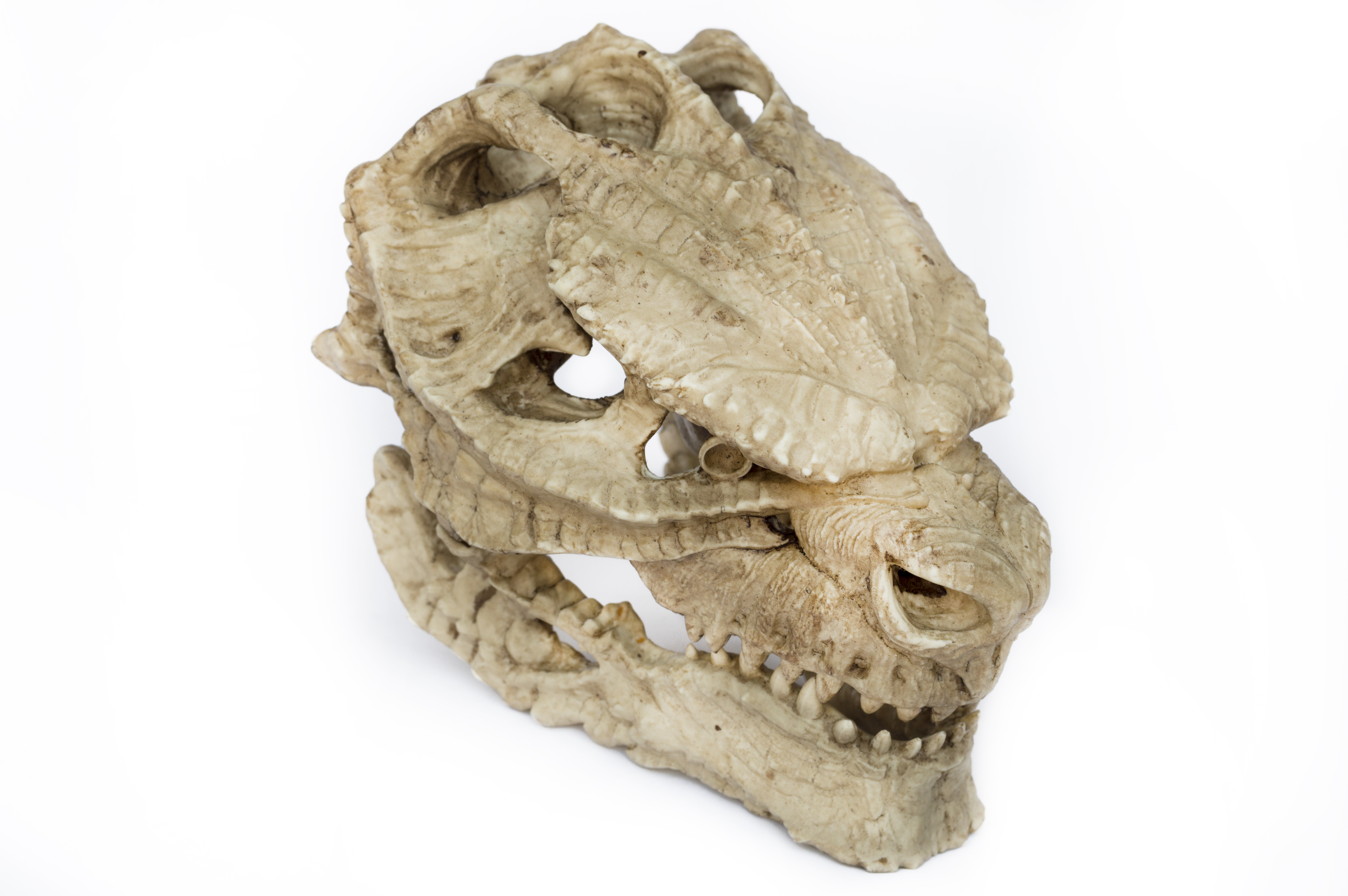 Godzilla Skull (Kaiju) Articulated Jaw.