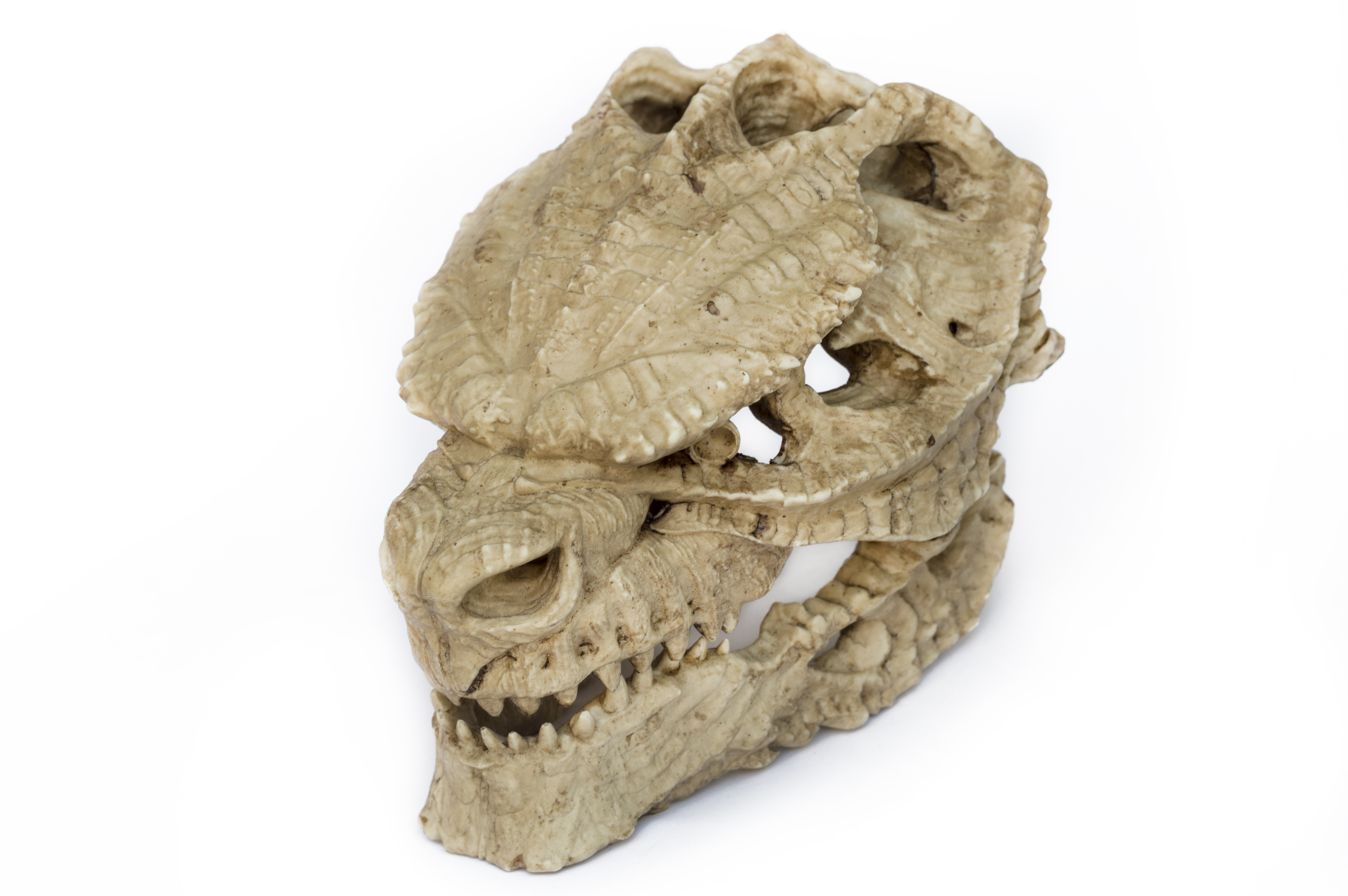 Godzilla Skull (Kaiju) Articulated Jaw.
