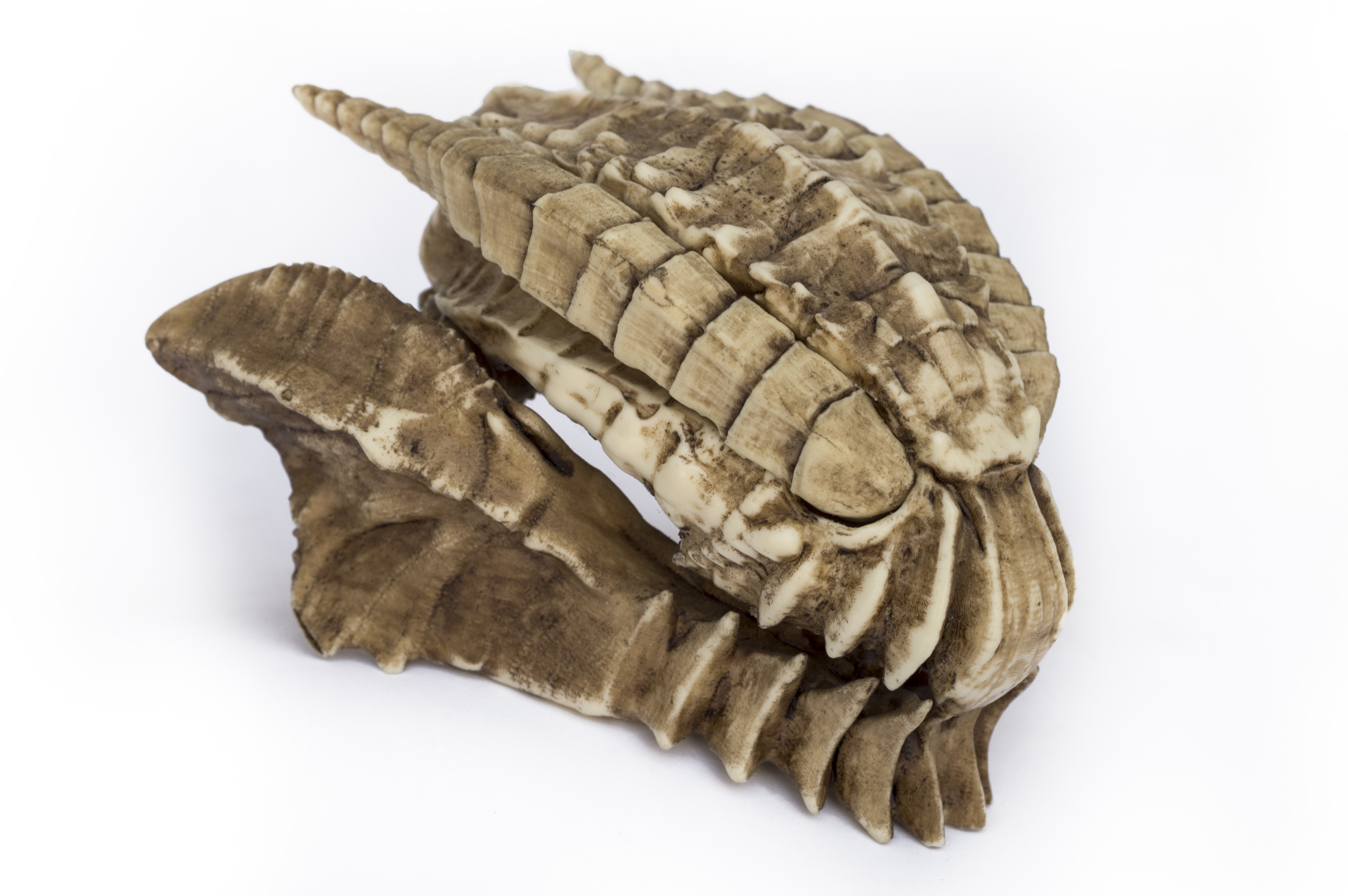 Gore Magala Skull "Monster Hunter"