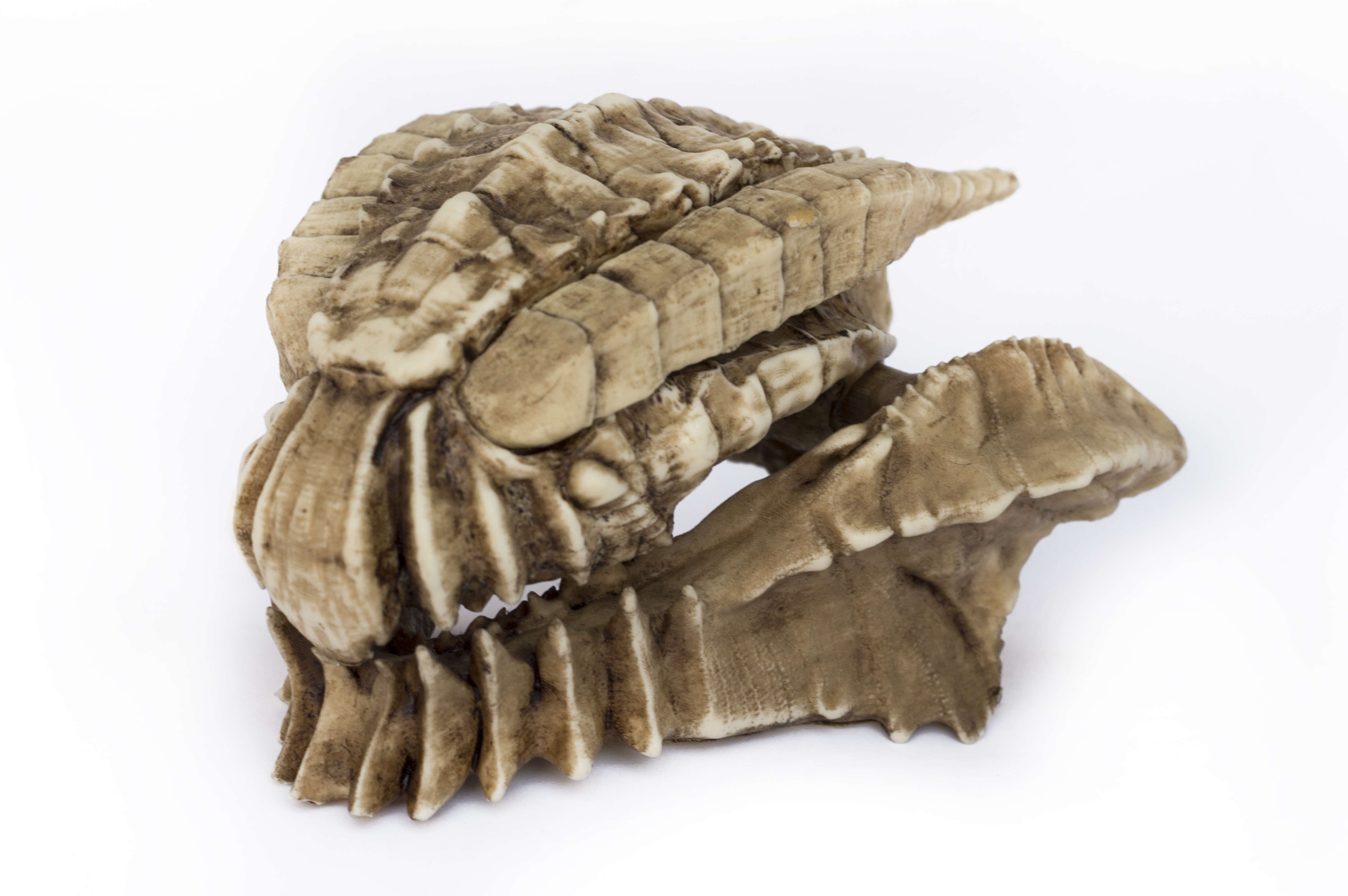 Gore Magala Skull "Monster Hunter"