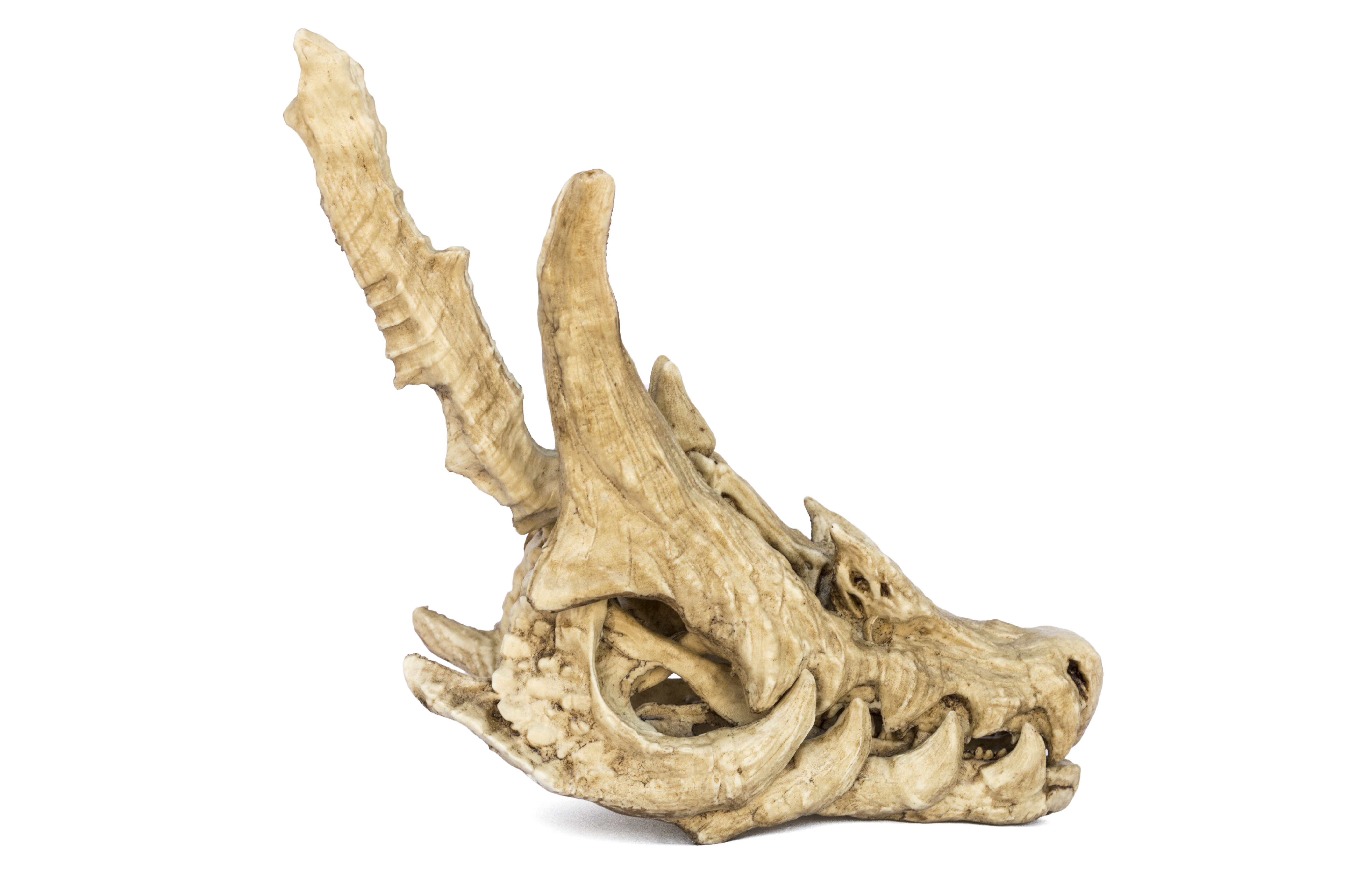 lagiacrus Skull "Monster Hunter"