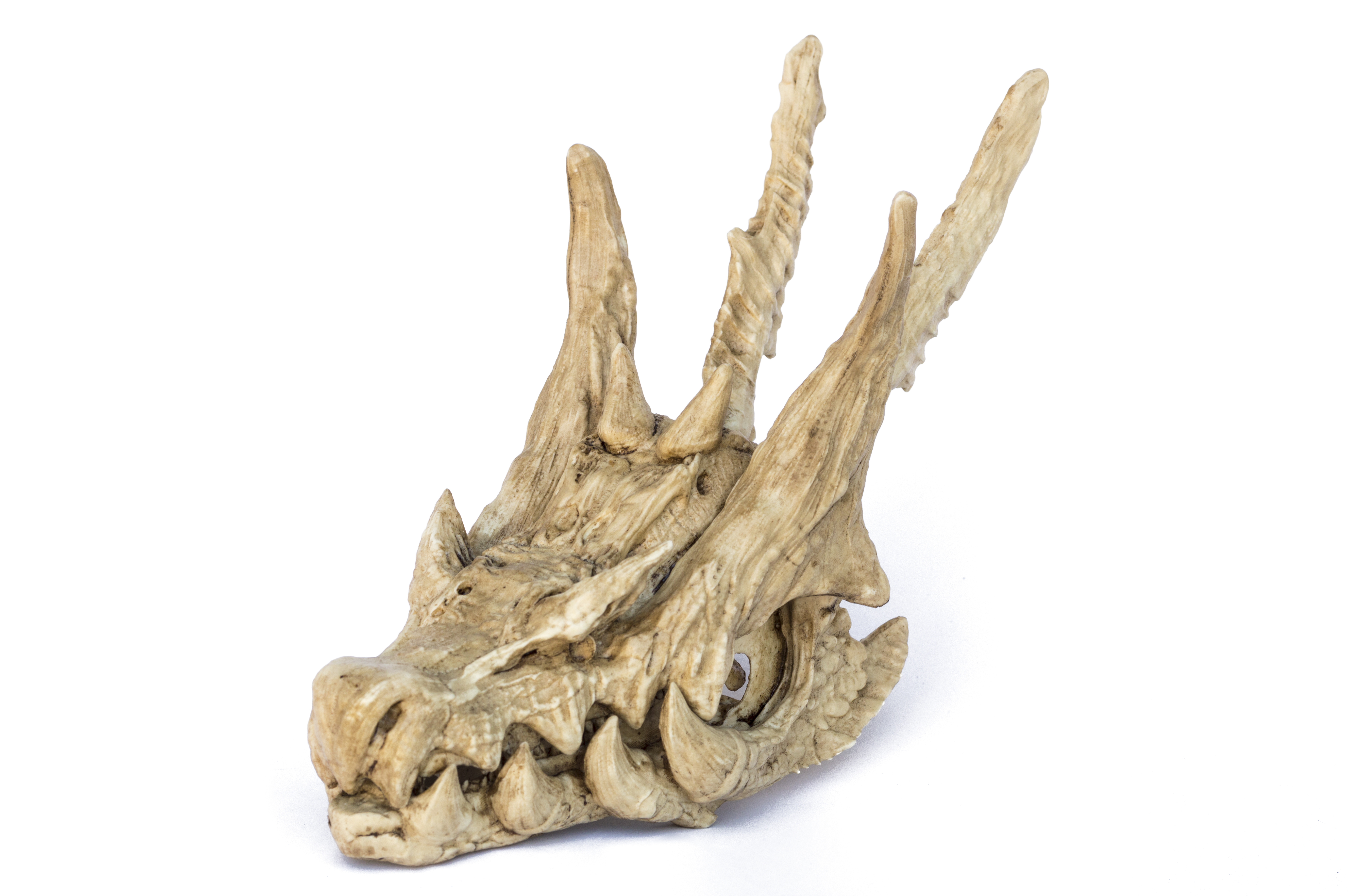 lagiacrus Skull "Monster Hunter"