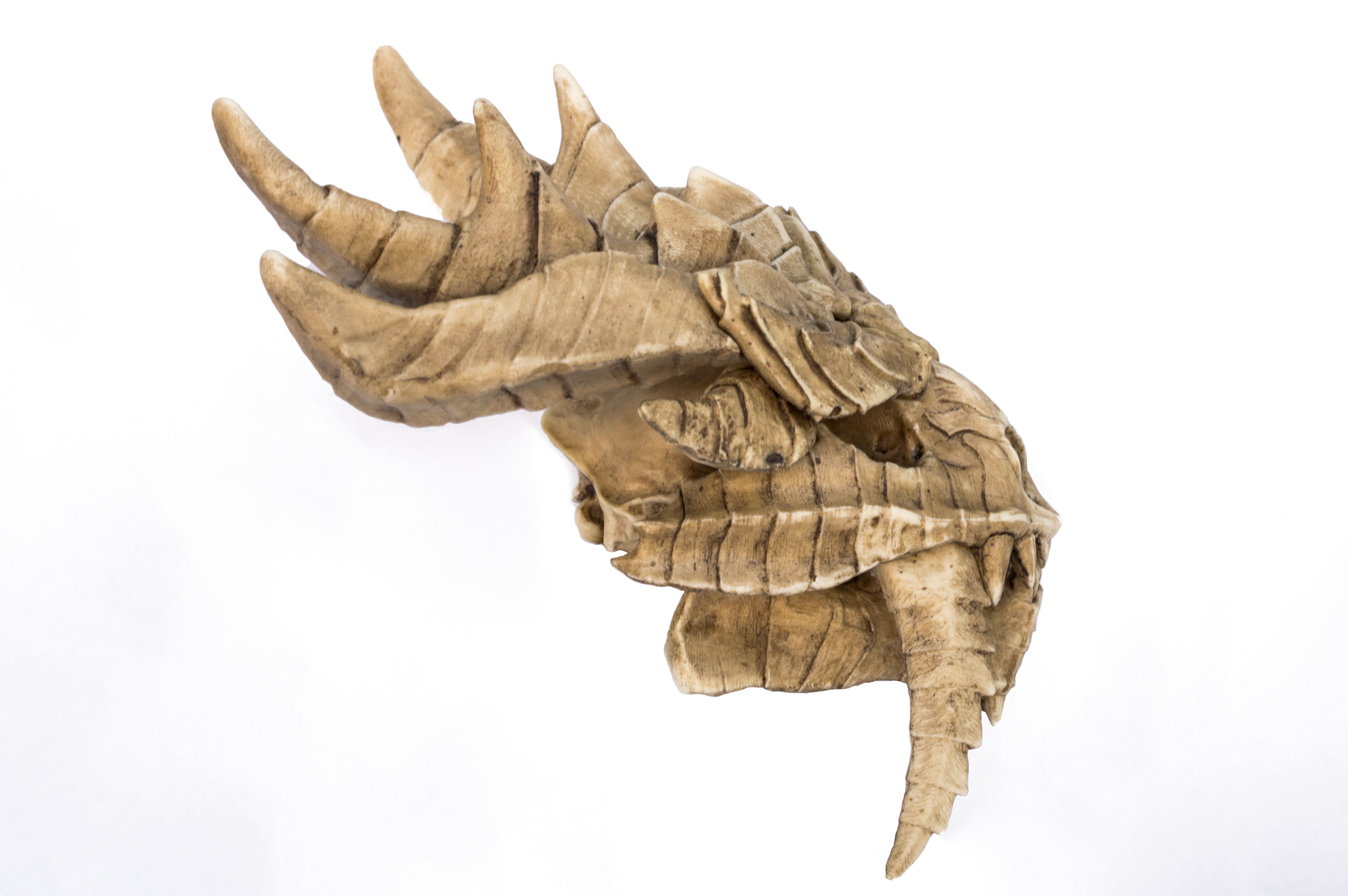 Magnamalo Skull "Monster Hunter"