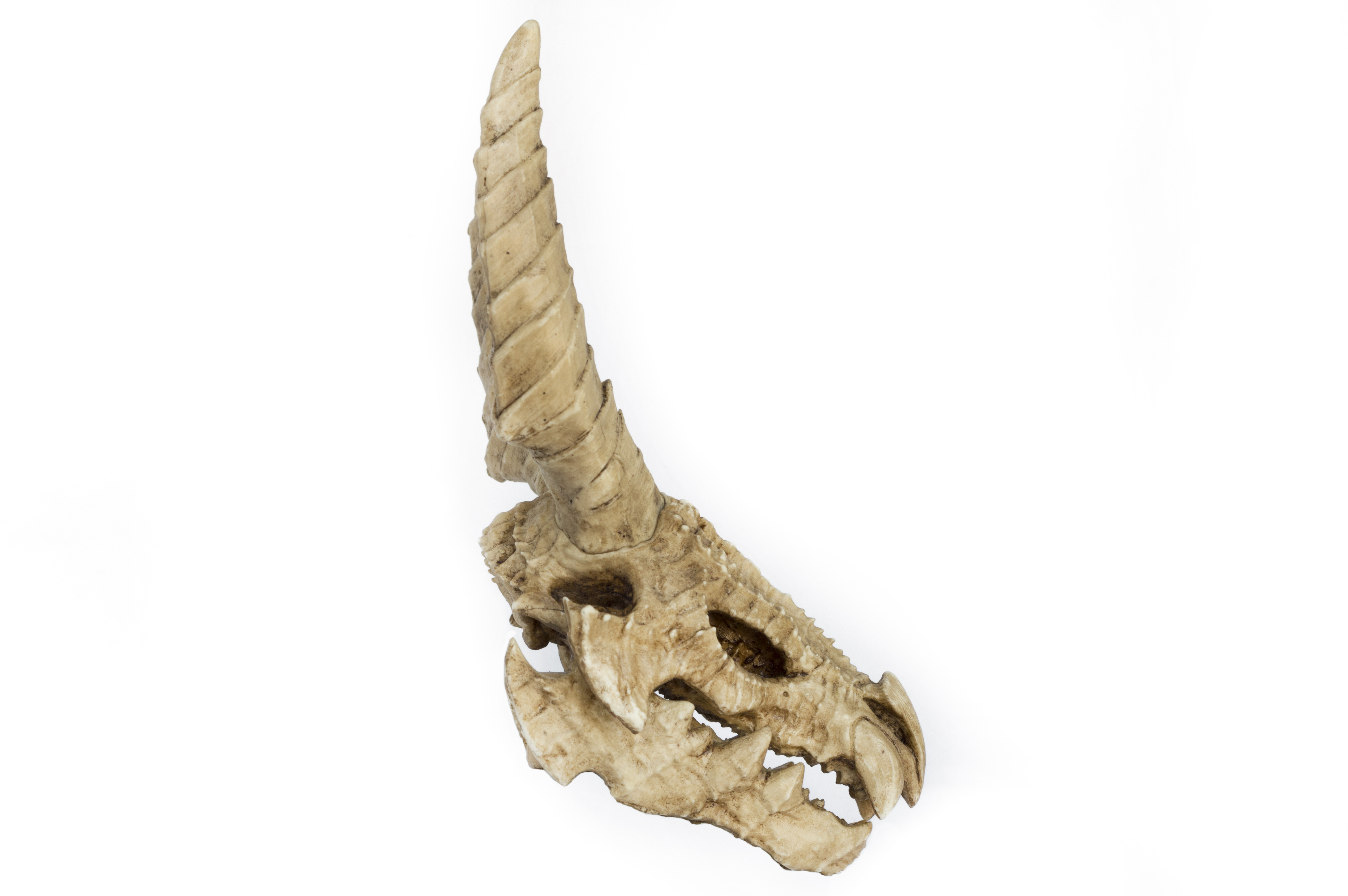 Malzeno Skull "Monster Hunter"