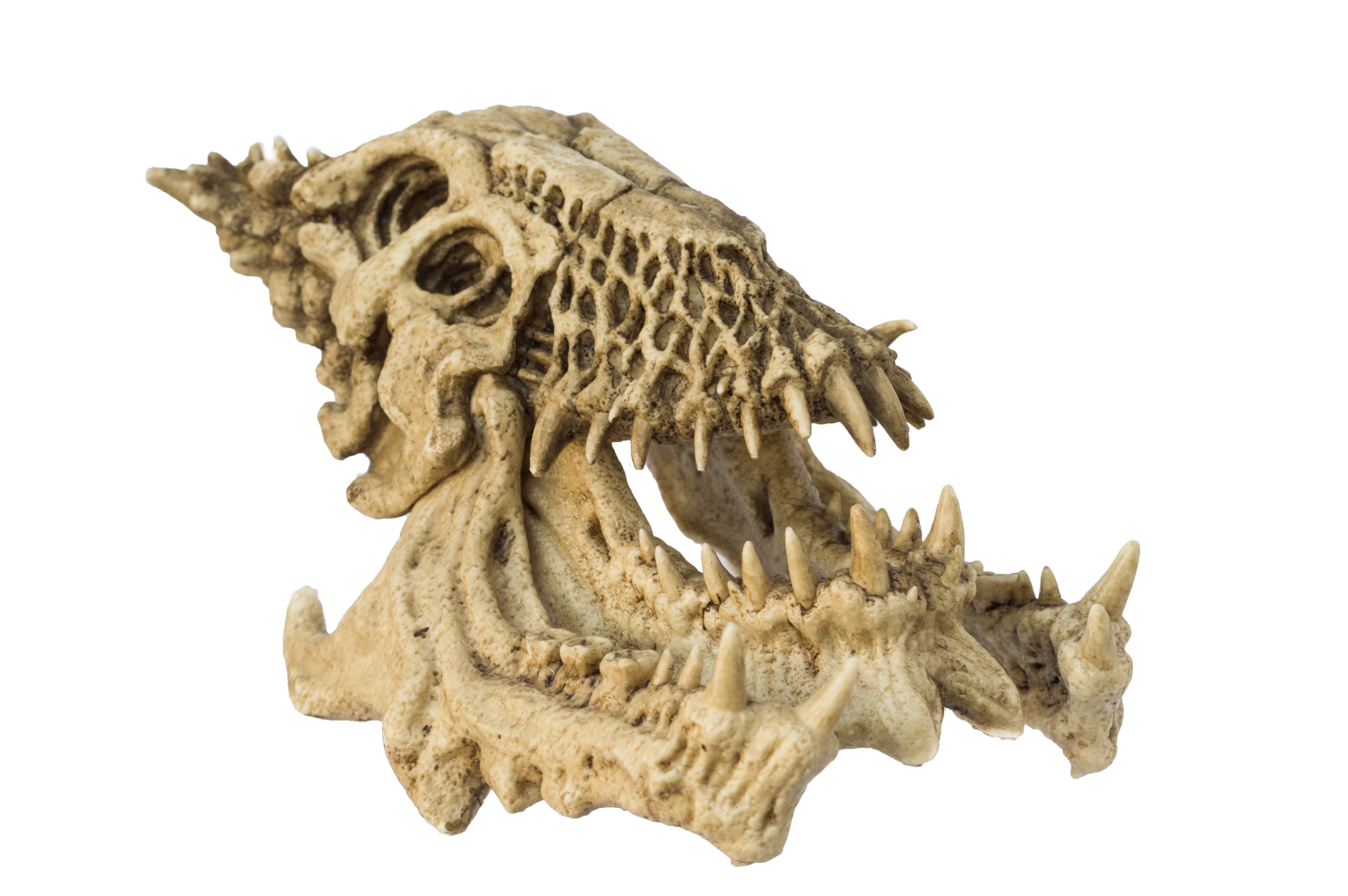Predator 2 Trophy Skull 1/6 Scale Replica