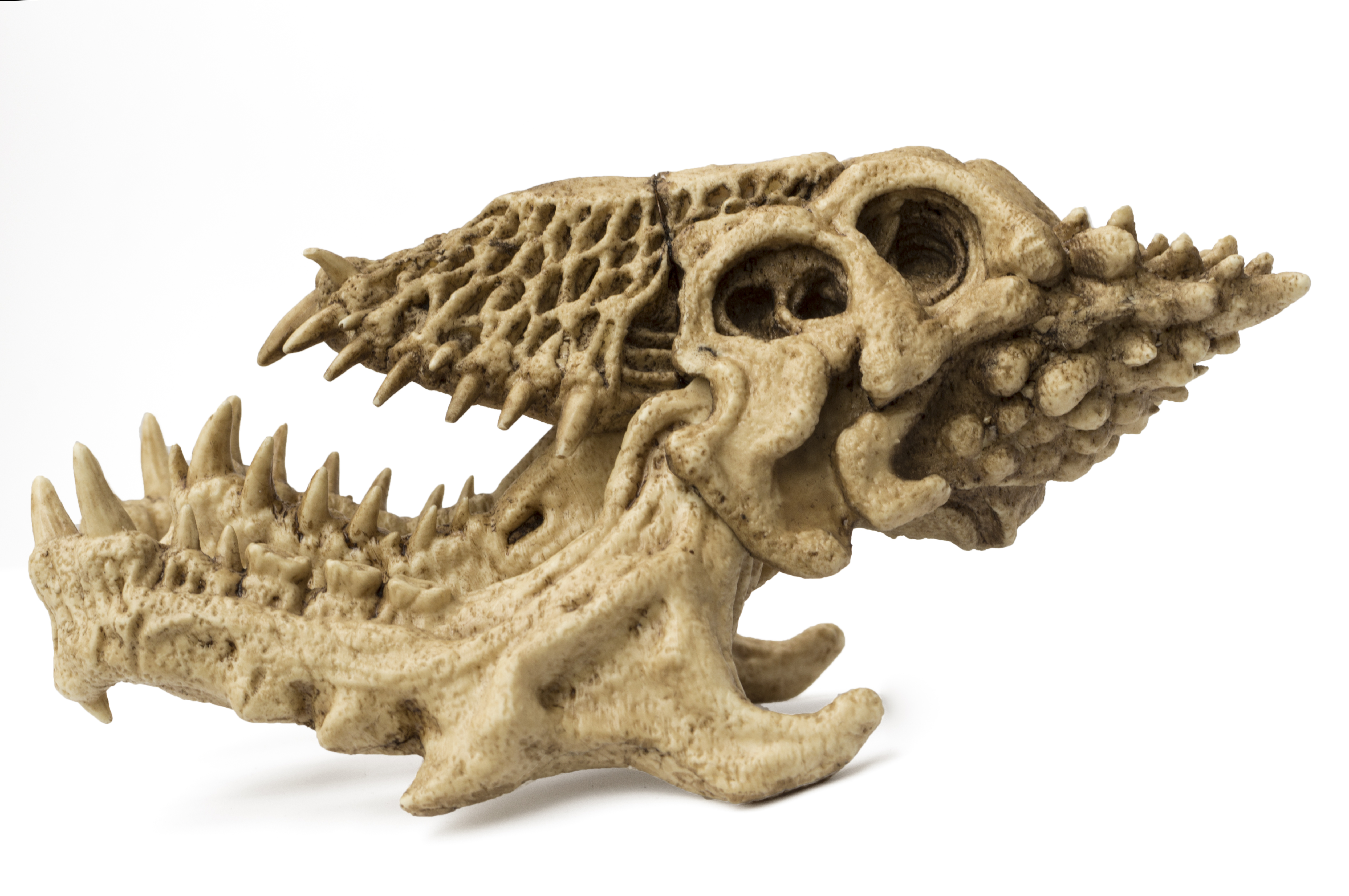 Predator 2 Trophy Skull 1/6 Scale Replica