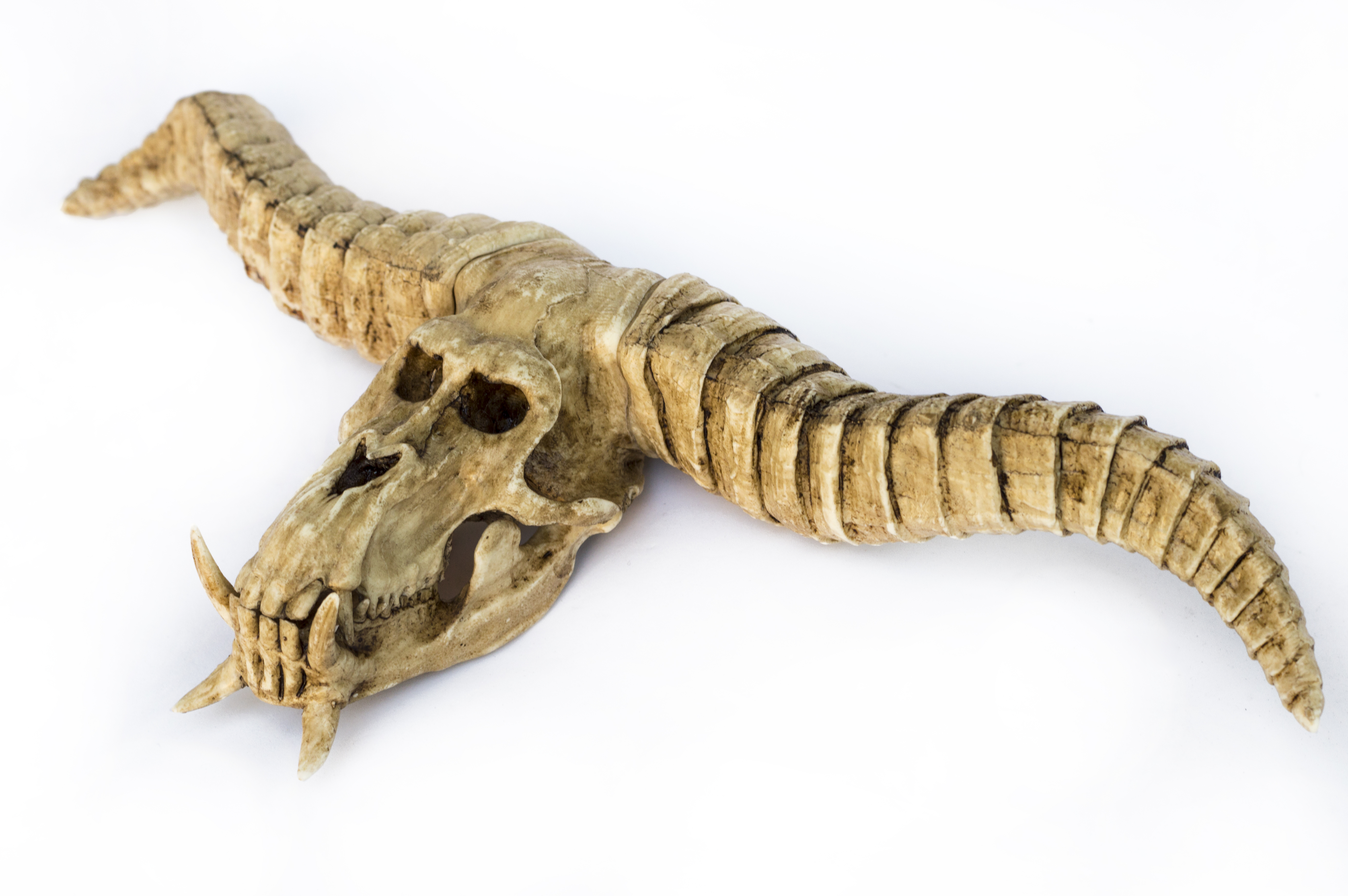 Rajang Skull "Monster Hunter"1/6 Scale Replica