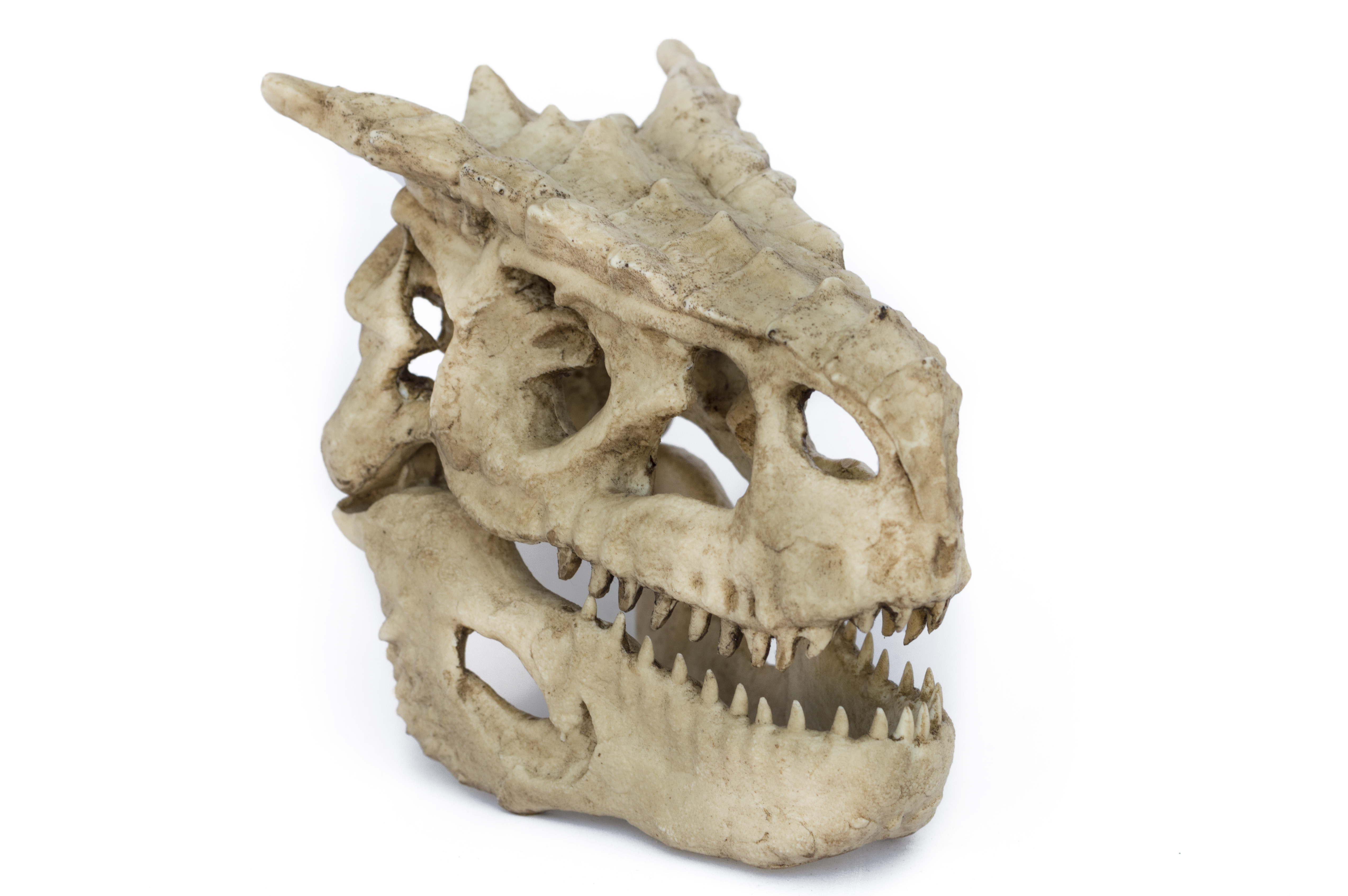 Tigrex Skull "Monster Hunter"