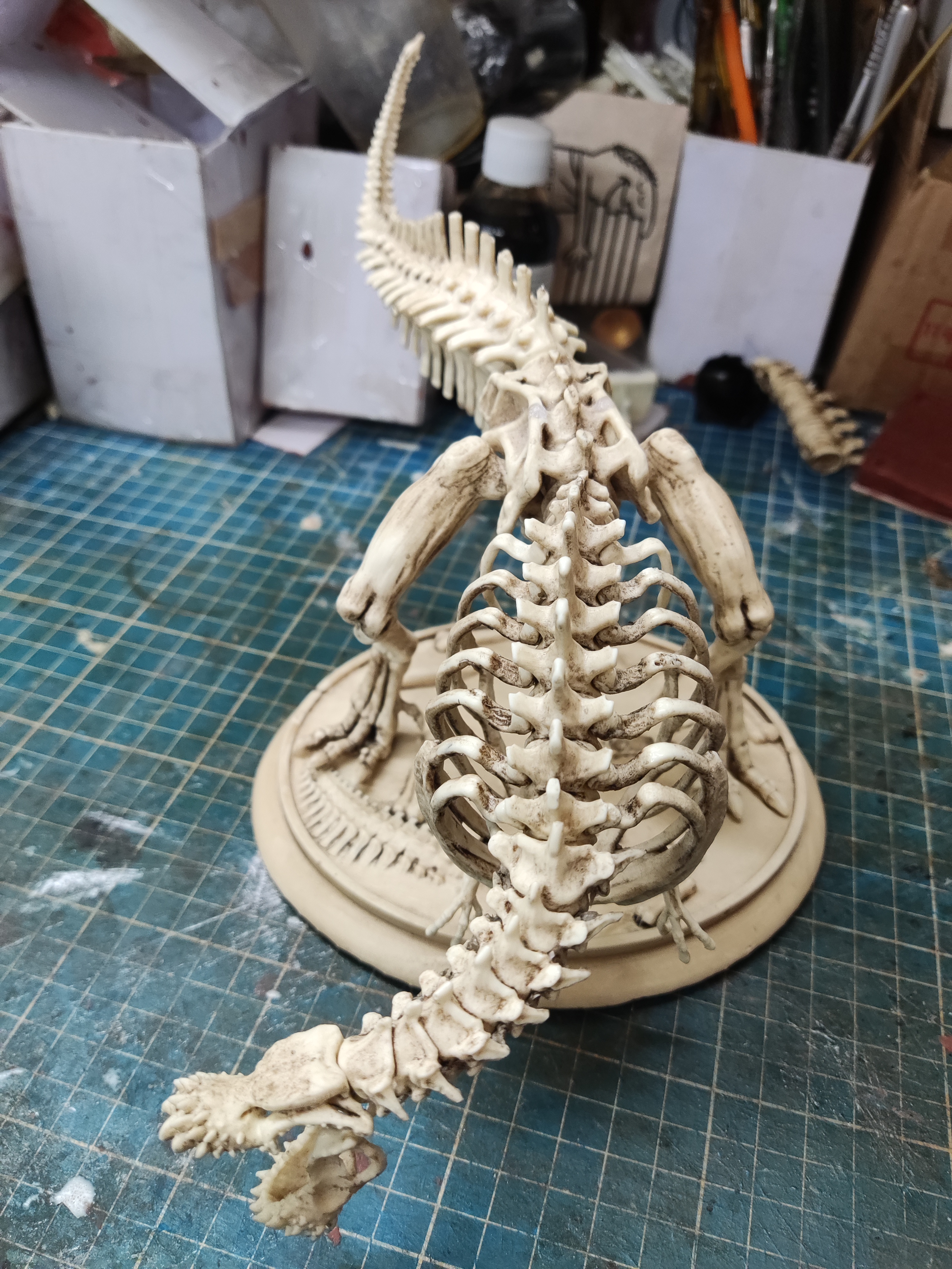 Deviljho Skeletal monster Arts size "Monster Hunter"