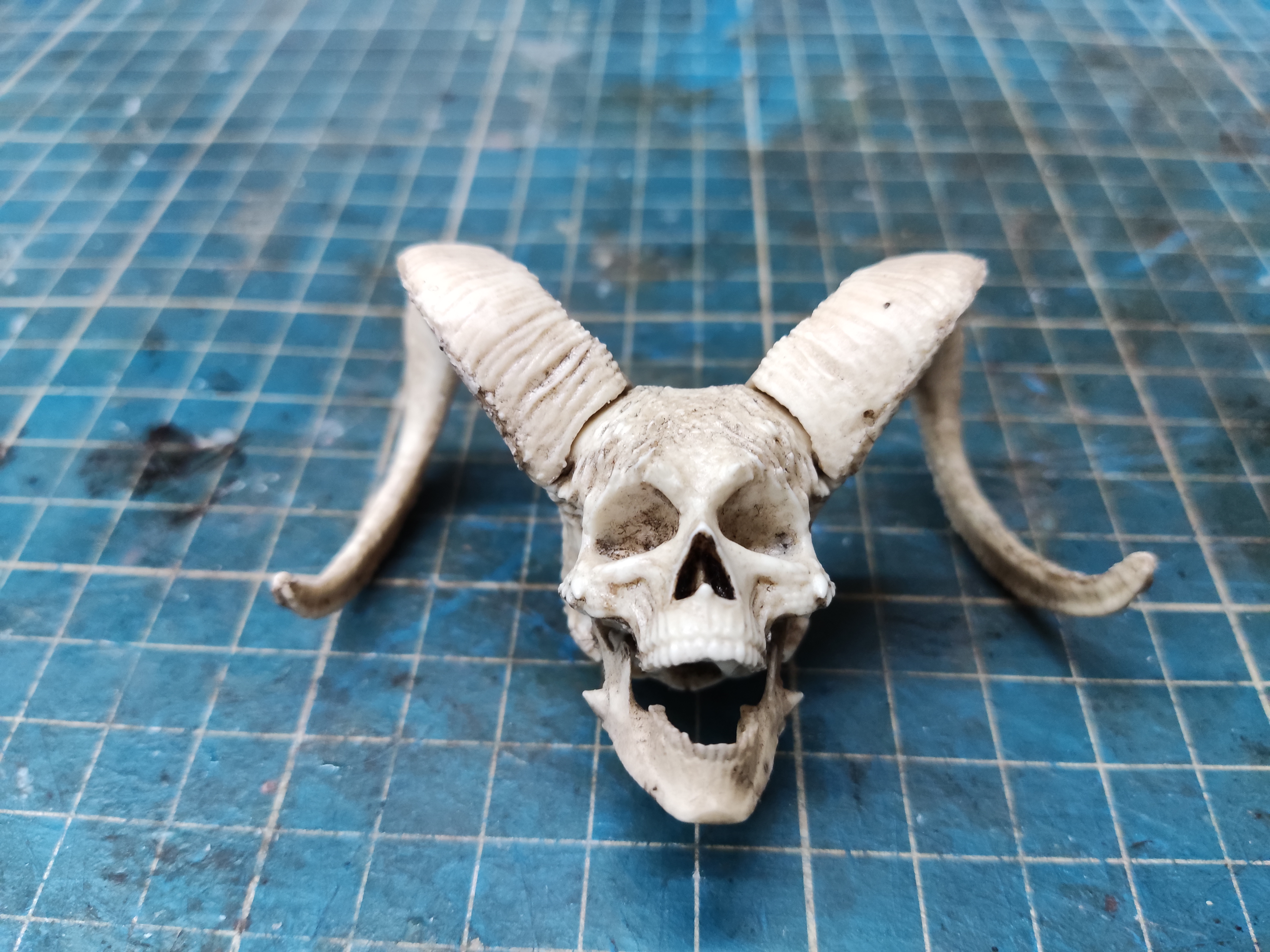 Decorative Skull with Horns 1/6 scale