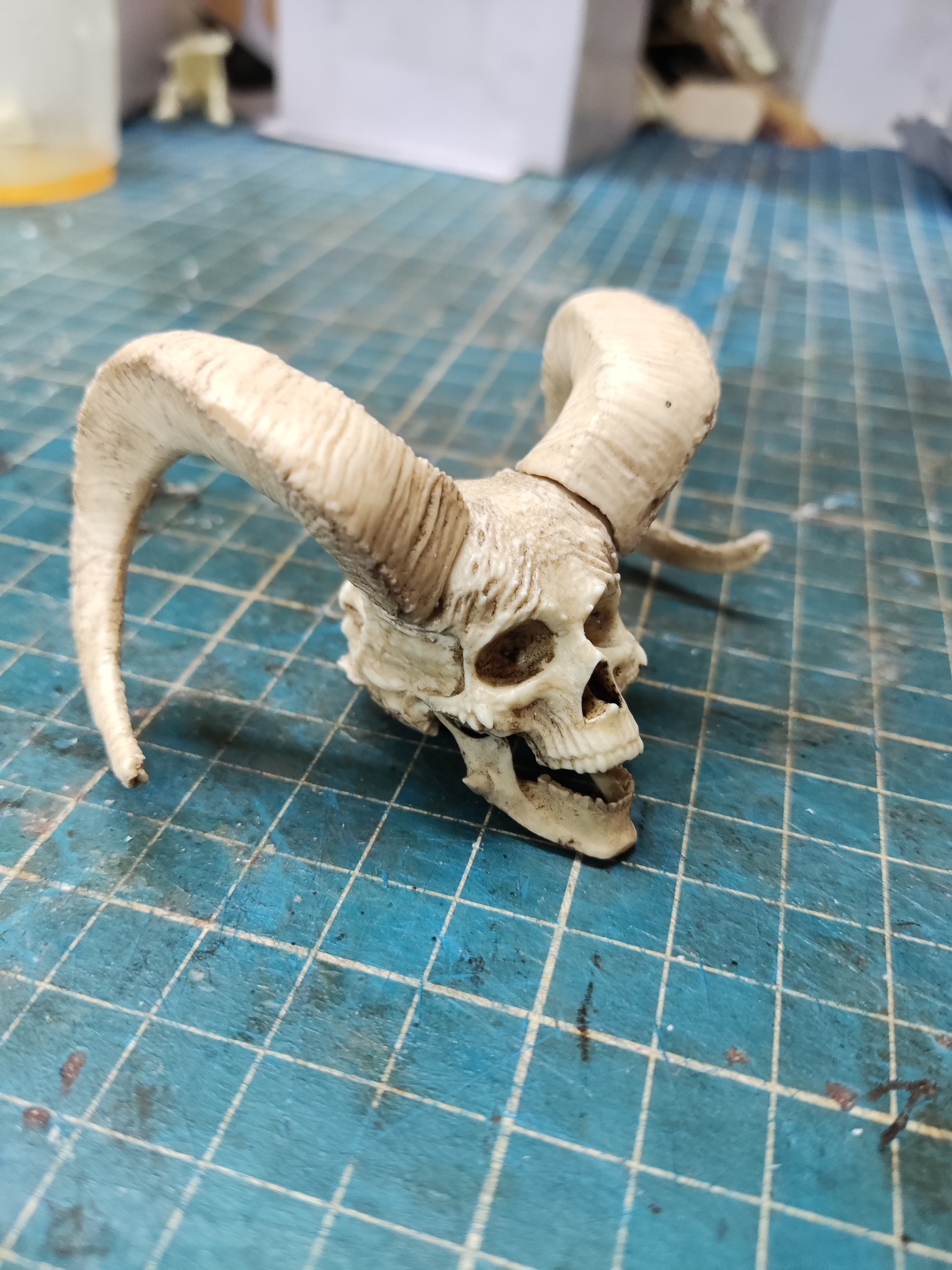 Decorative Skull with Horns 1/6 scale