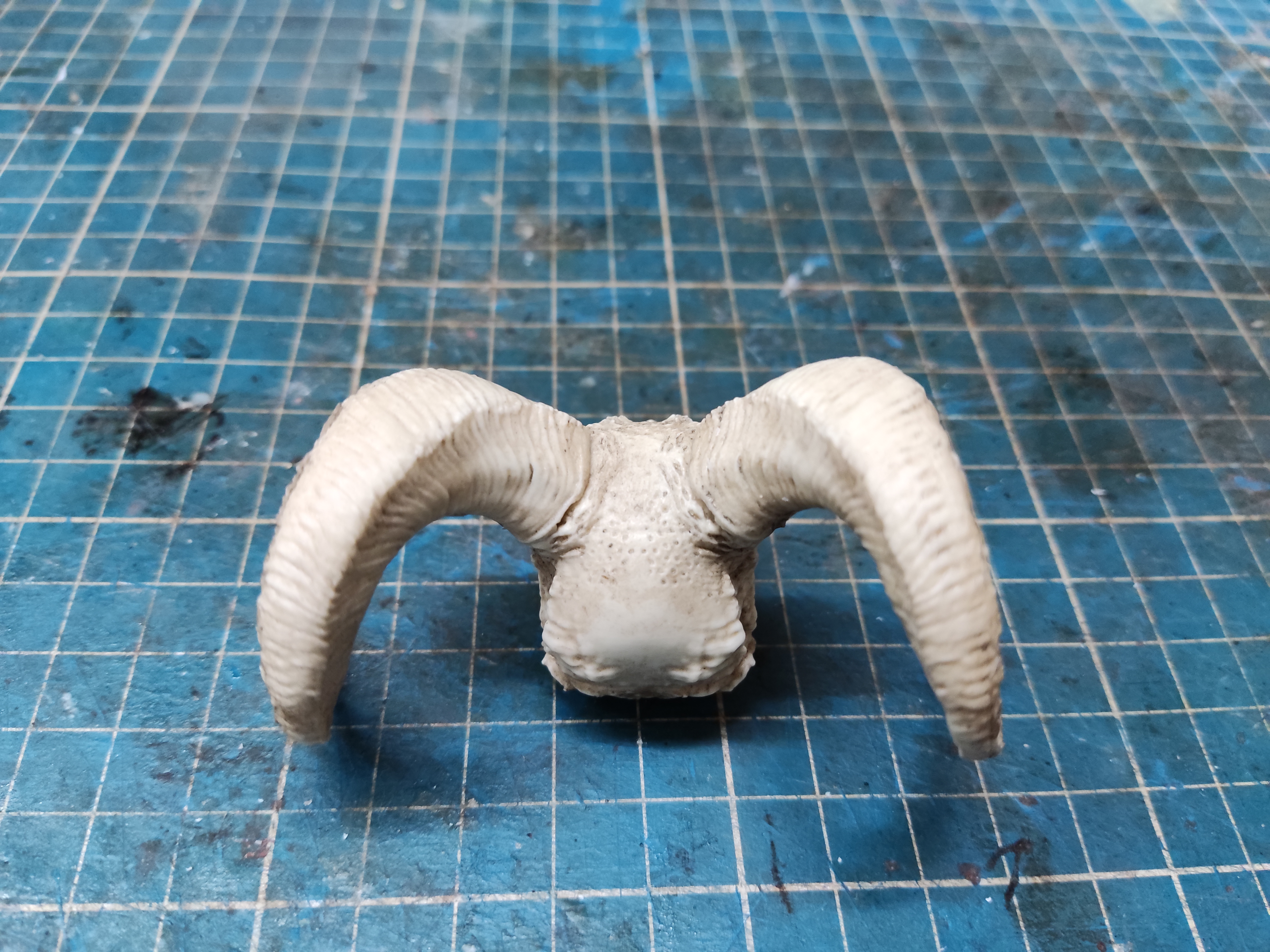 Decorative Skull with Horns 1/6 scale