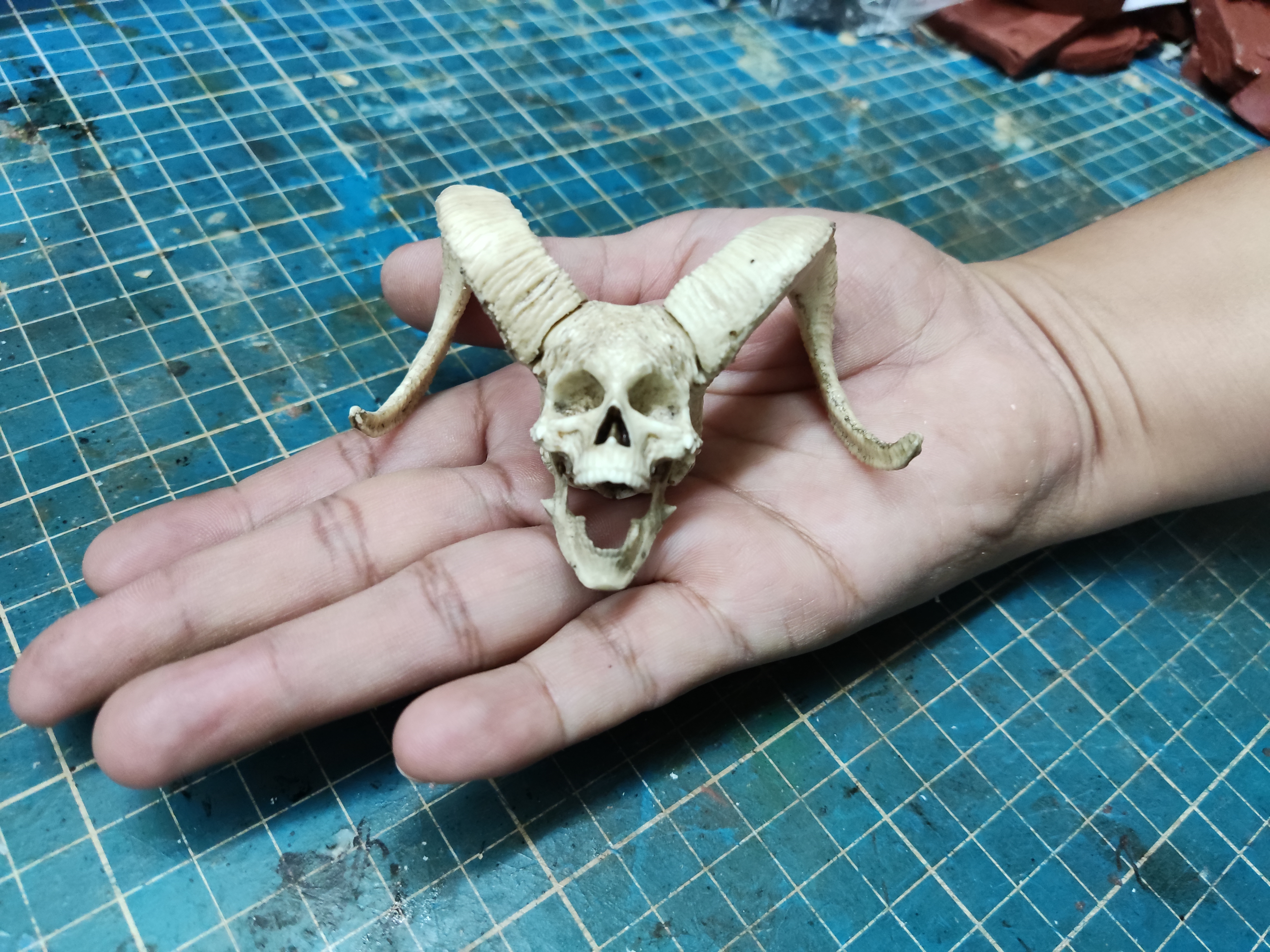 Decorative Skull with Horns 1/6 scale