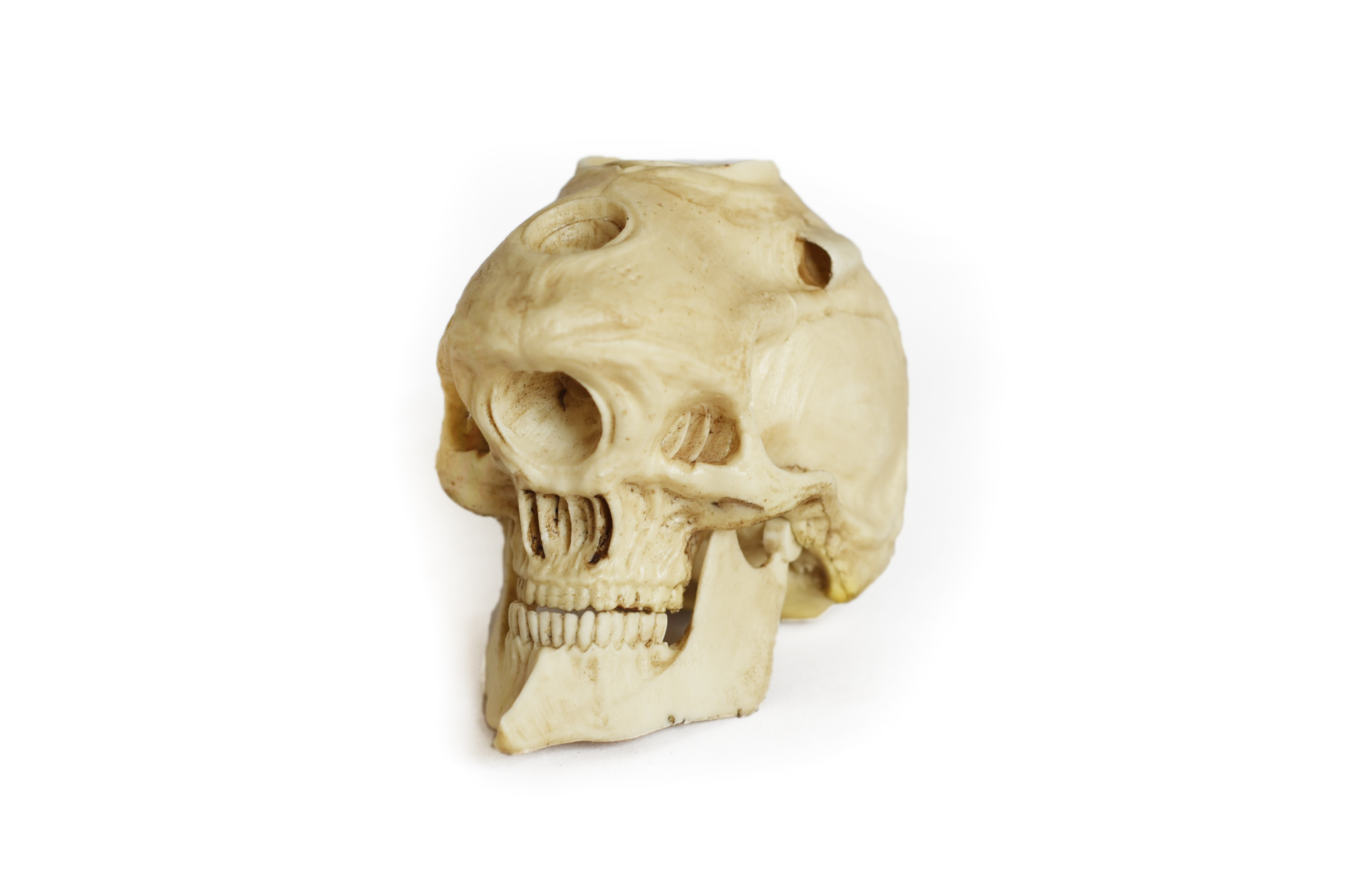 EVA00 Skull (Evangelion) Moveable jaw