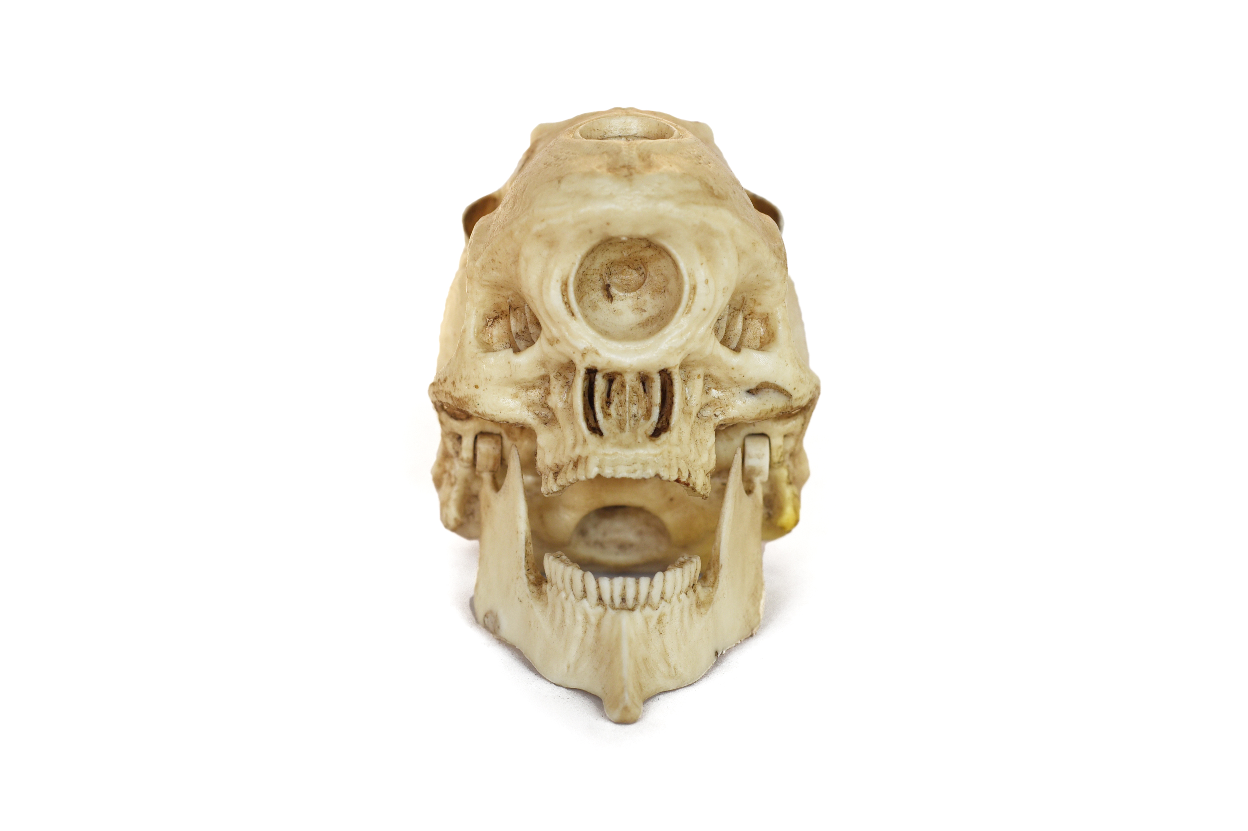 EVA00 Skull (Evangelion) Moveable jaw