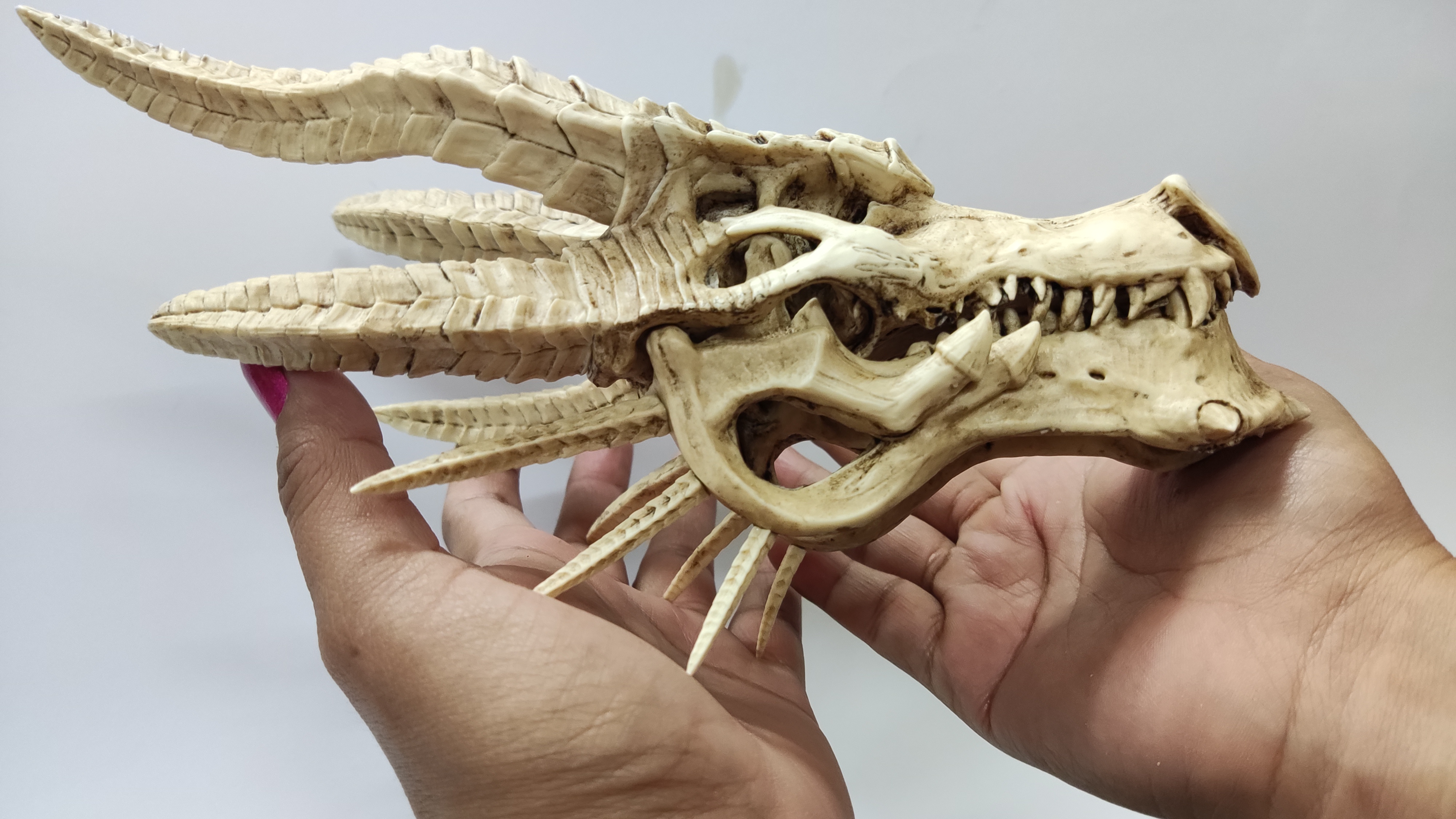 FATALIS Skull (Monster Hunter)
