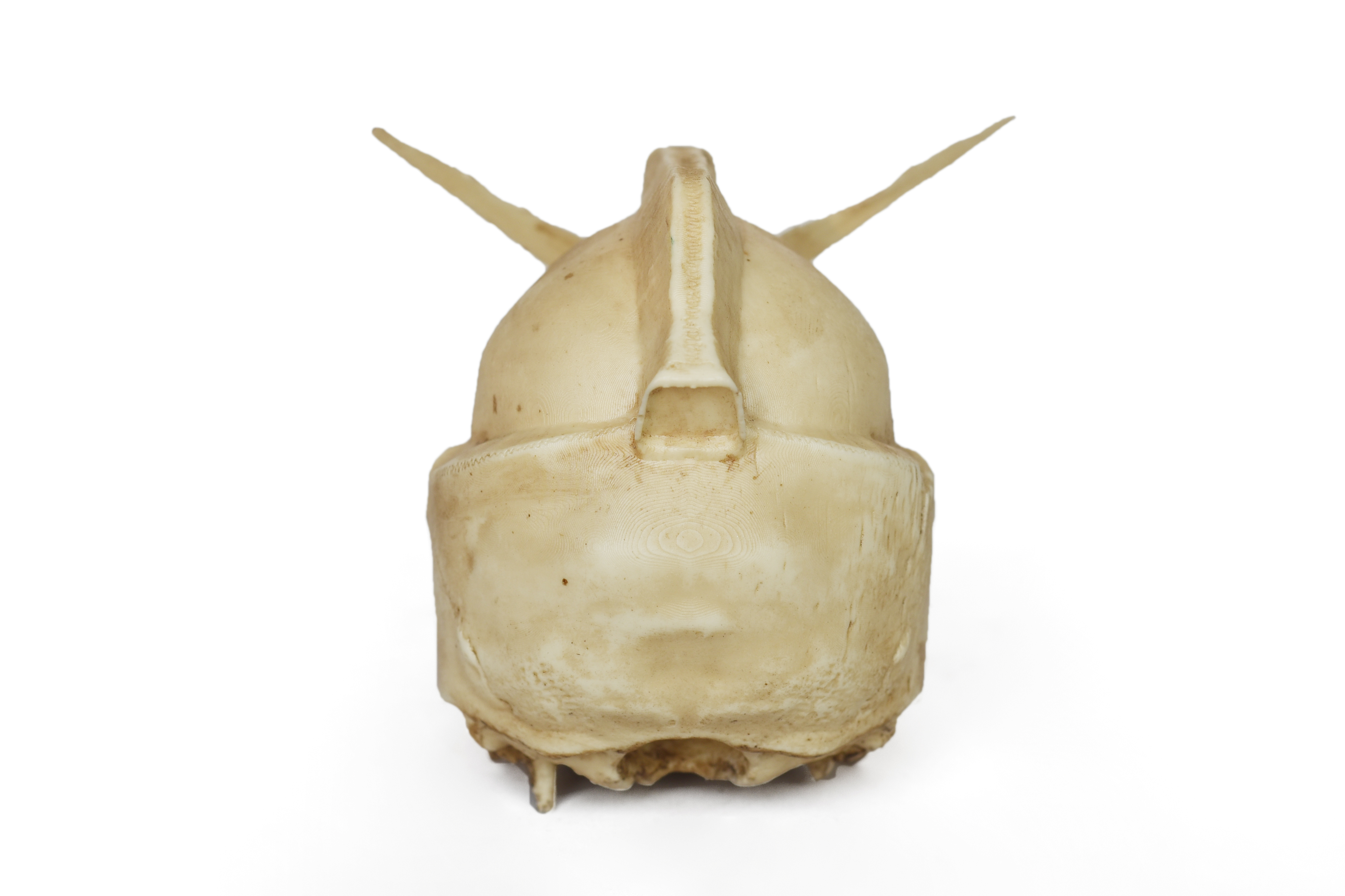 Gundam-inspired Skull Sculpture