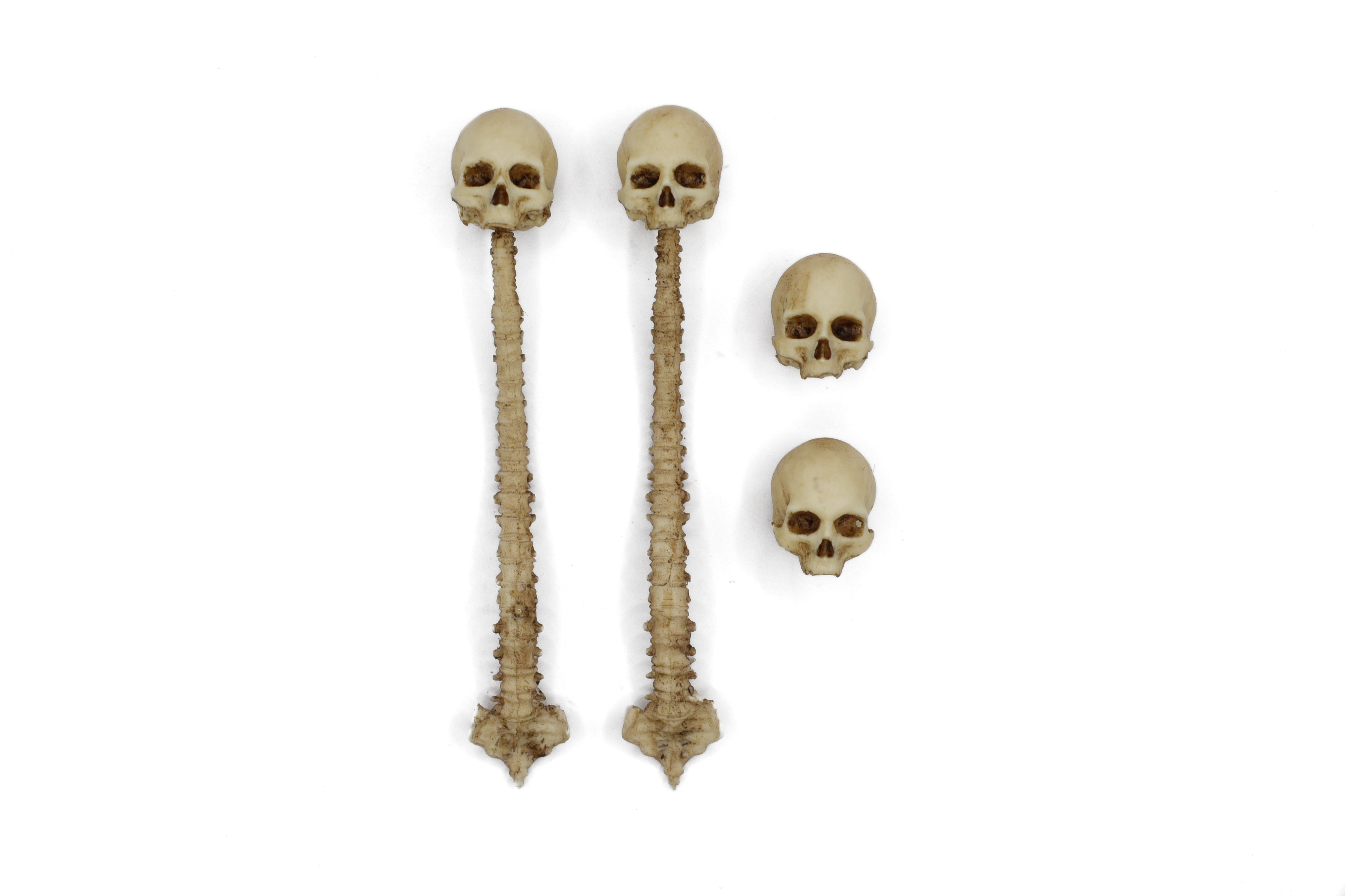 Skull and Spine Decoration Set 1/12 Scale
