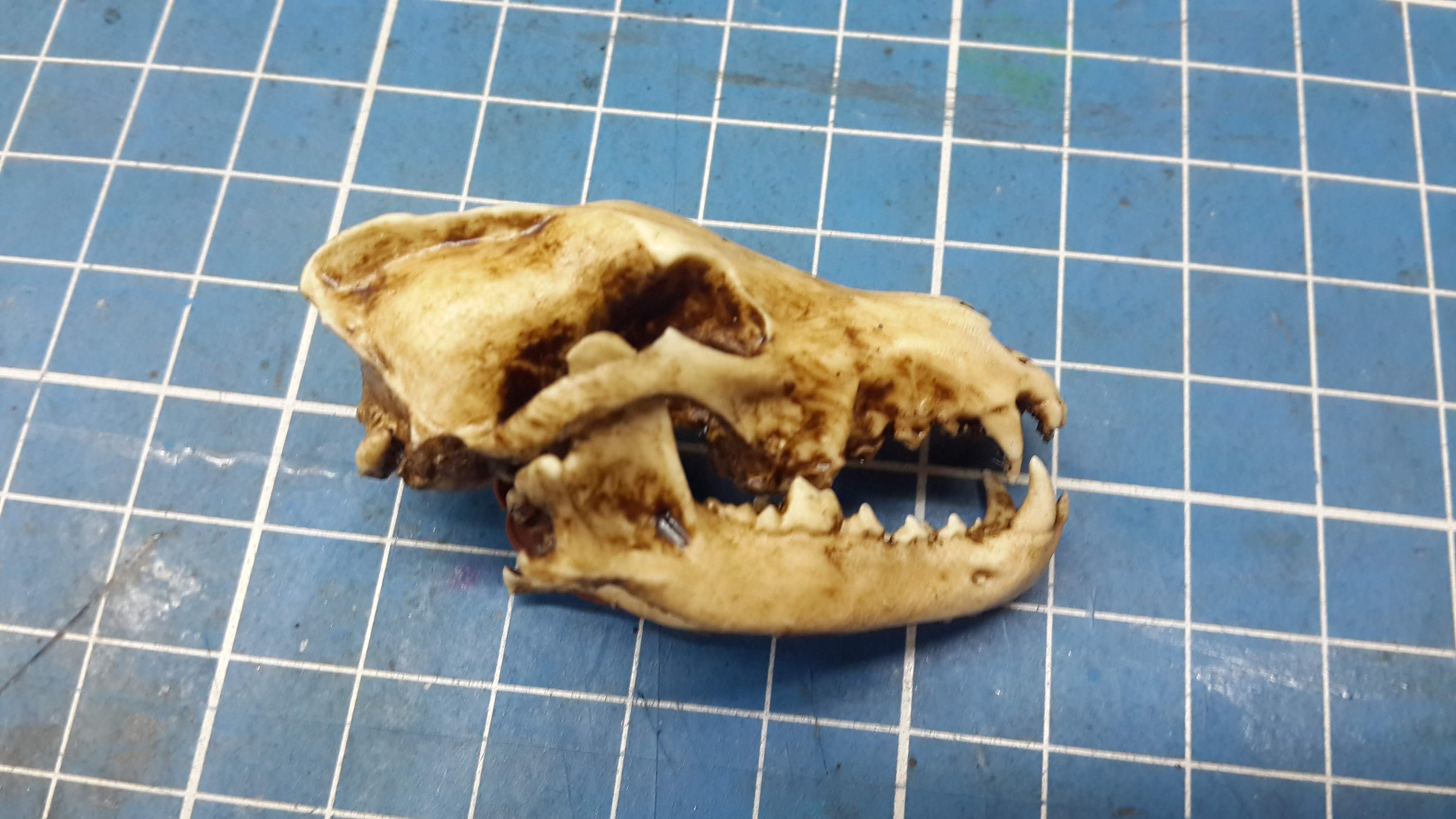 Wolf Skull 1/6 Scale Replica