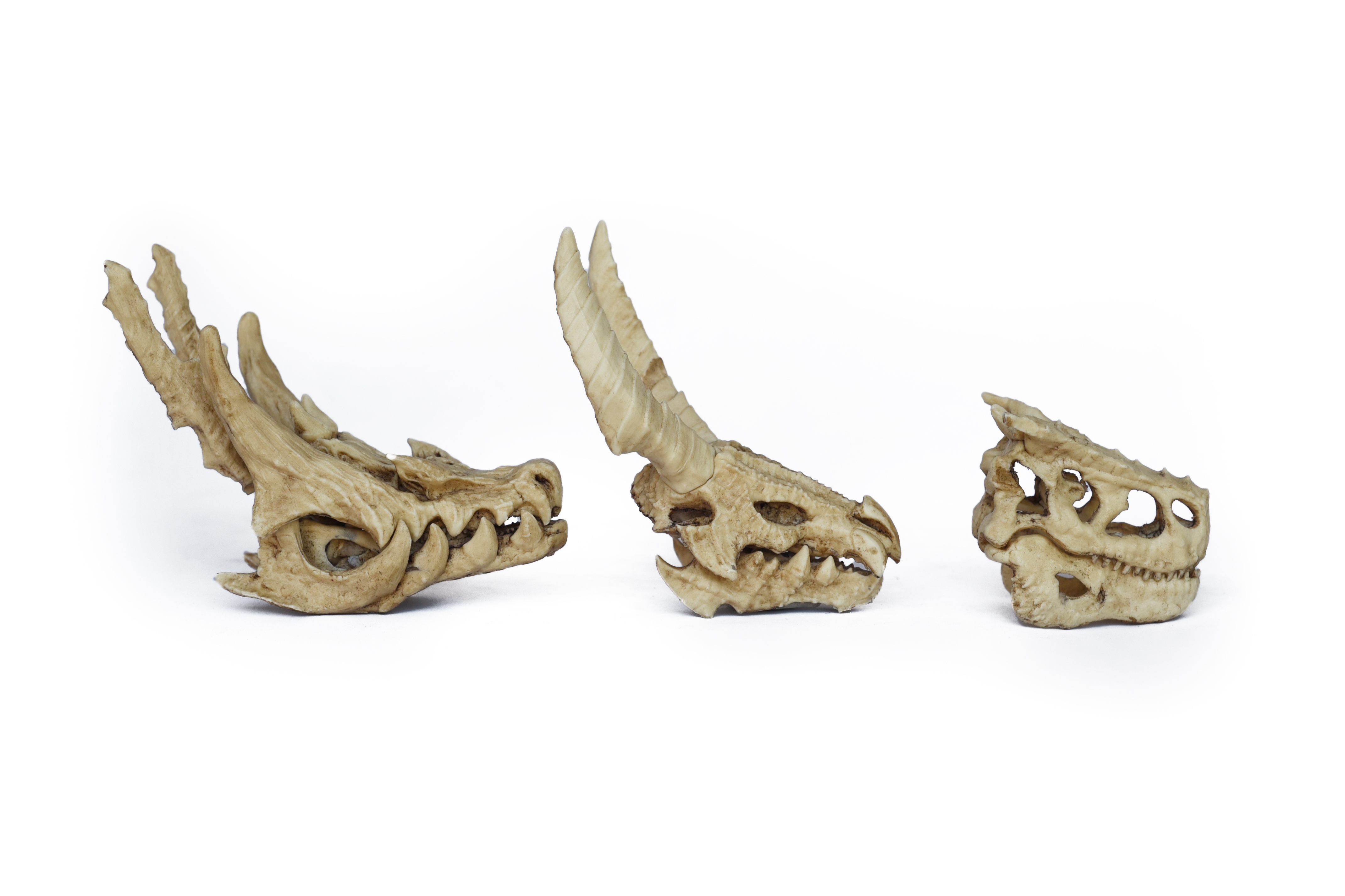Monster Hunter Skulls "Series Two" PETIT SIZE
