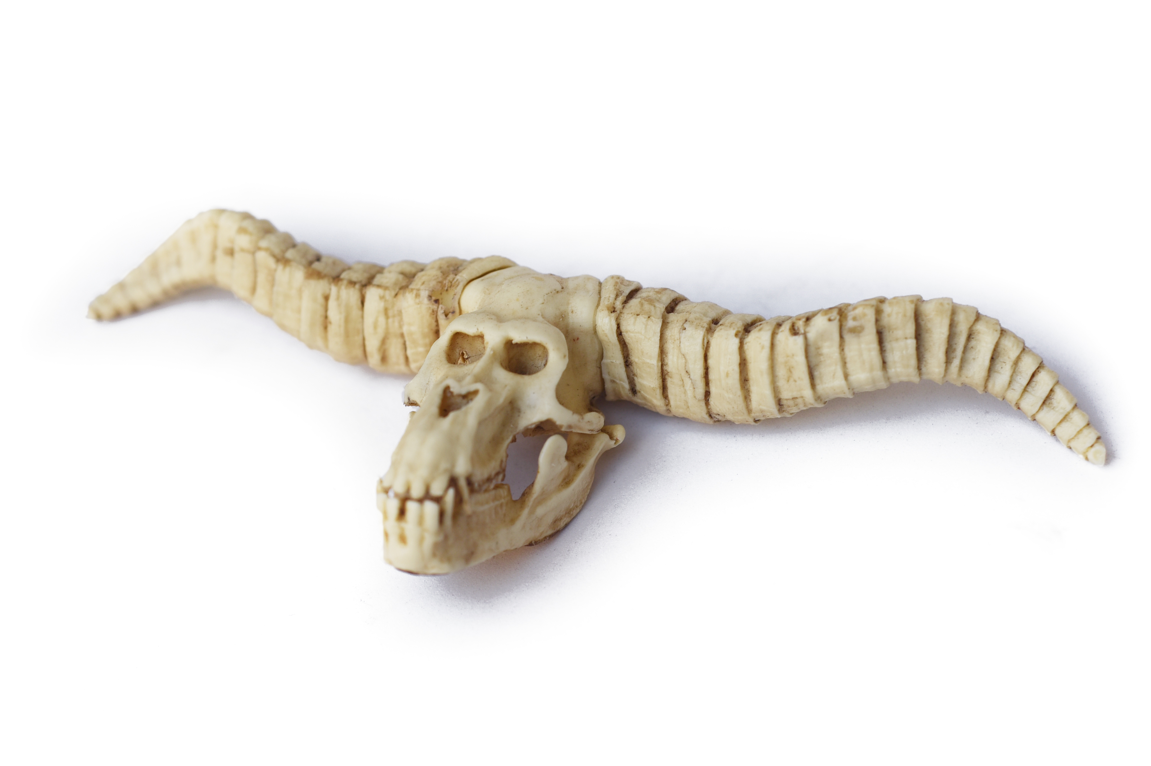Monster Hunter Skulls "Series one" PETIT SIZE