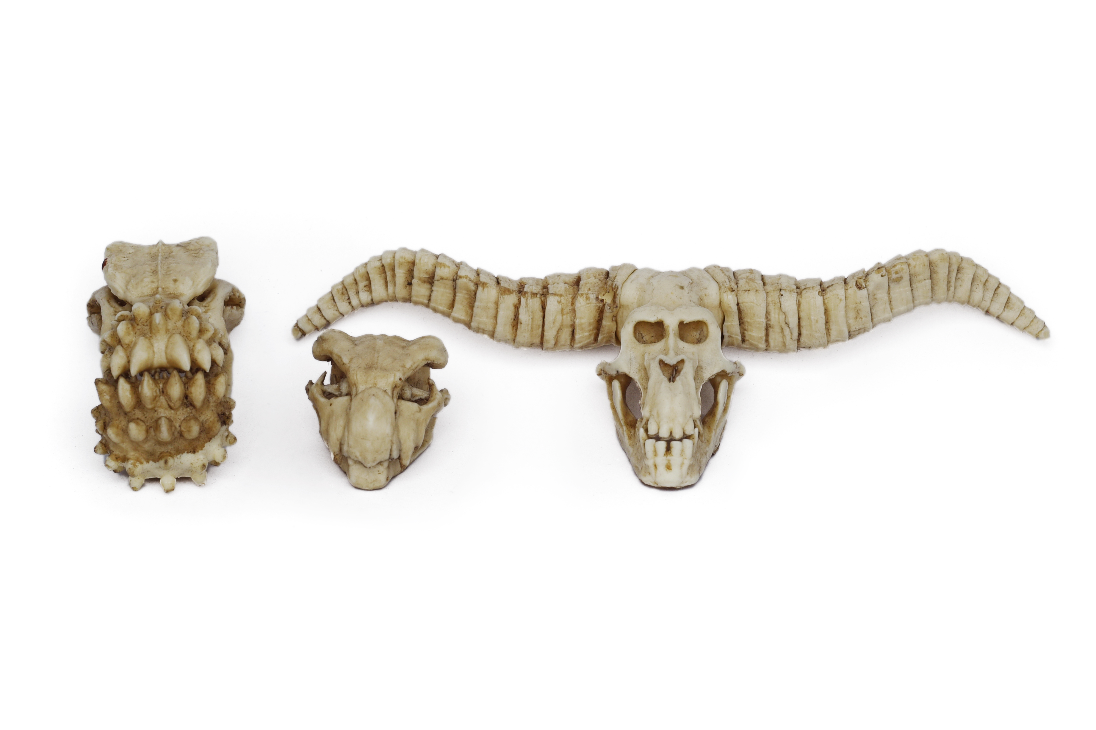 Monster Hunter Skulls "Series one" PETIT SIZE