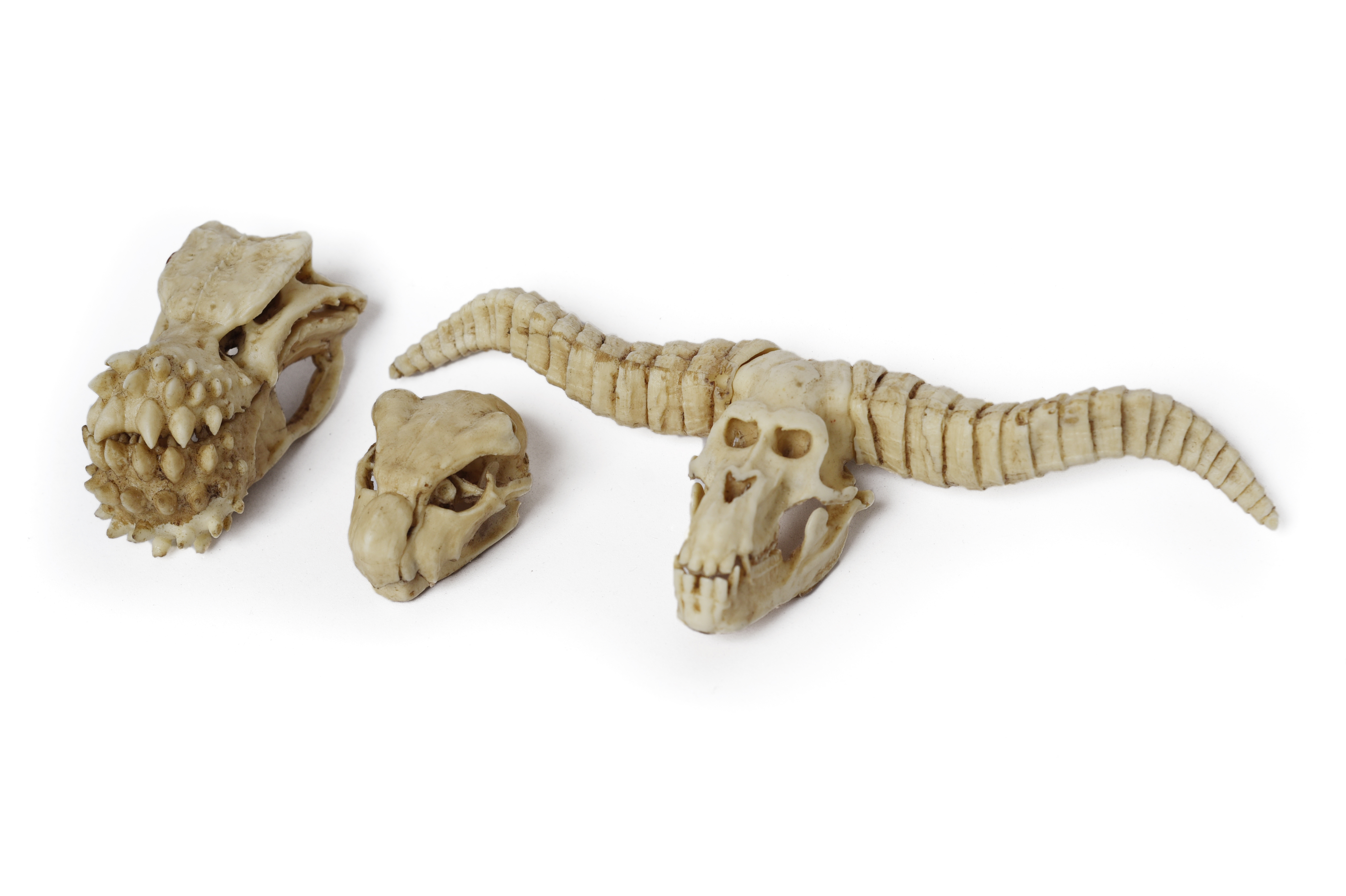 Monster Hunter Skulls "Series one" PETIT SIZE