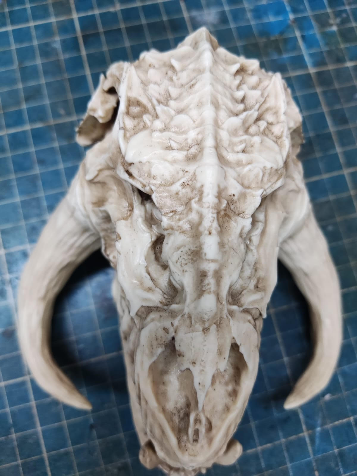 Mythosaur Skull 1/12 scale