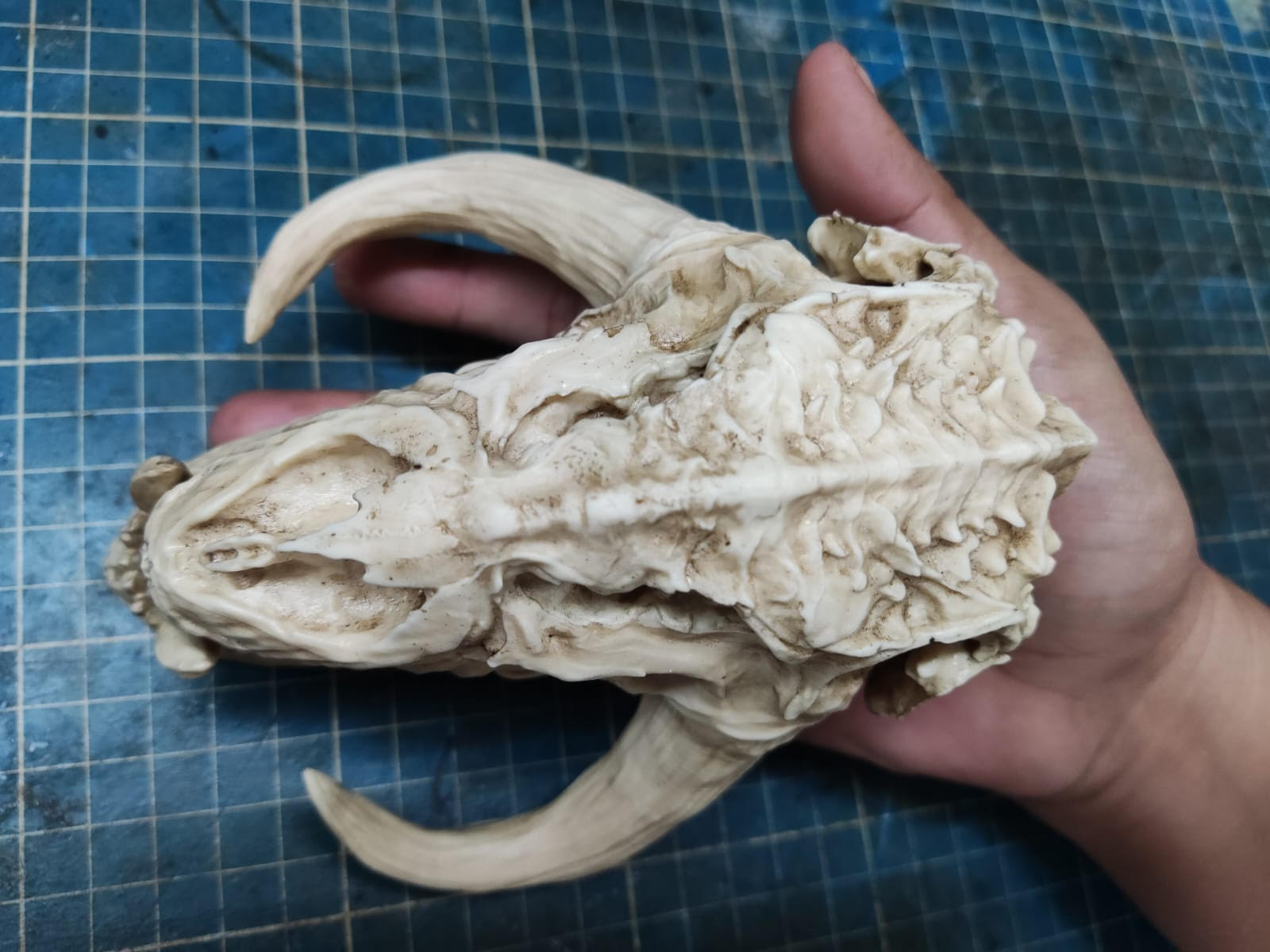Mythosaur Skull 1/12 scale