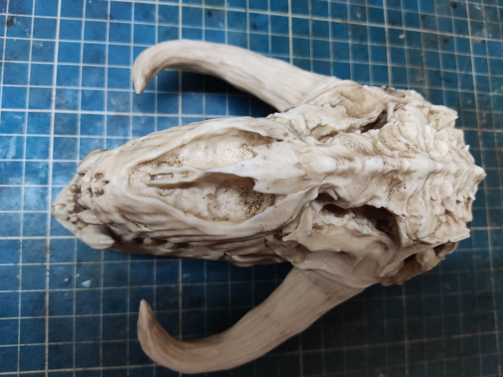 Mythosaur Skull 1/12 scale