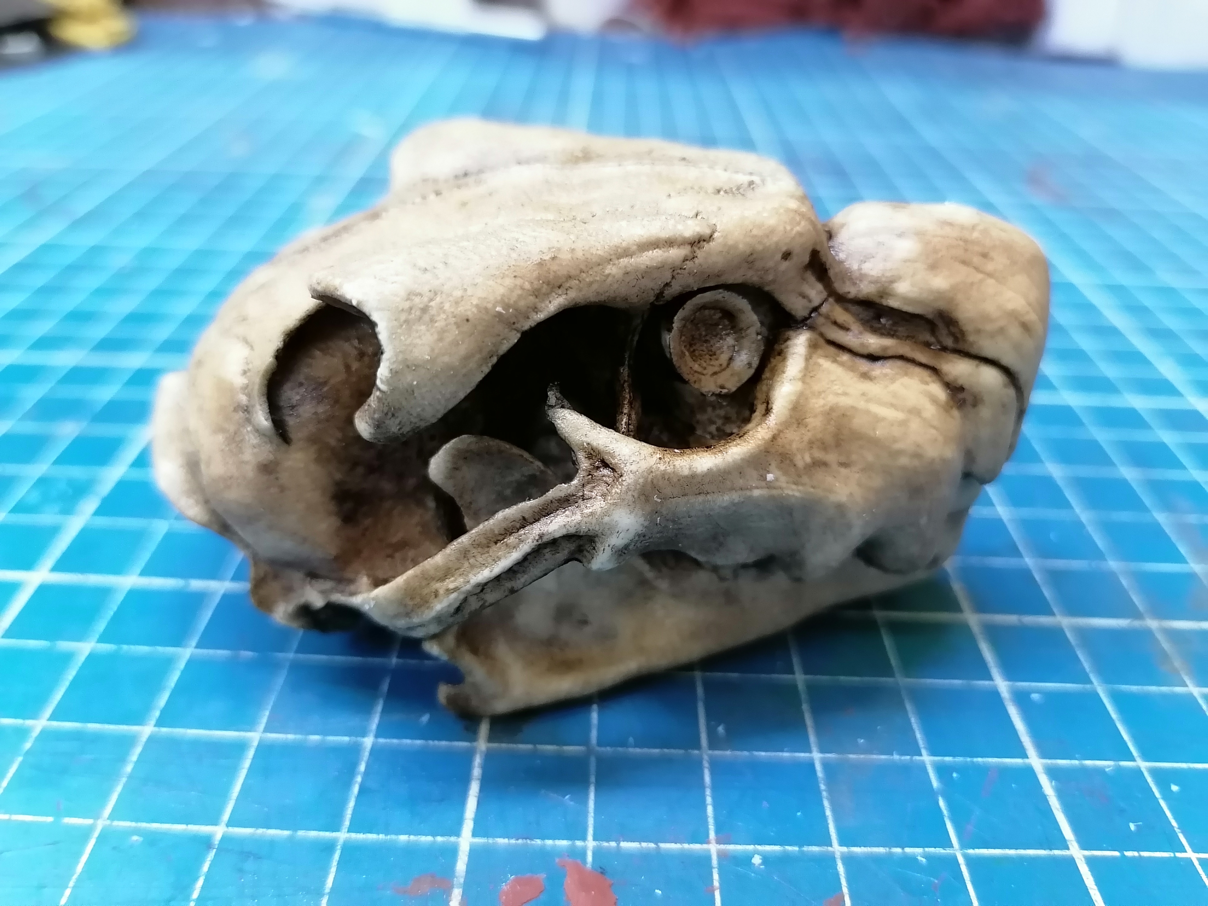 Nargacuga Skull "Monster Hunter"