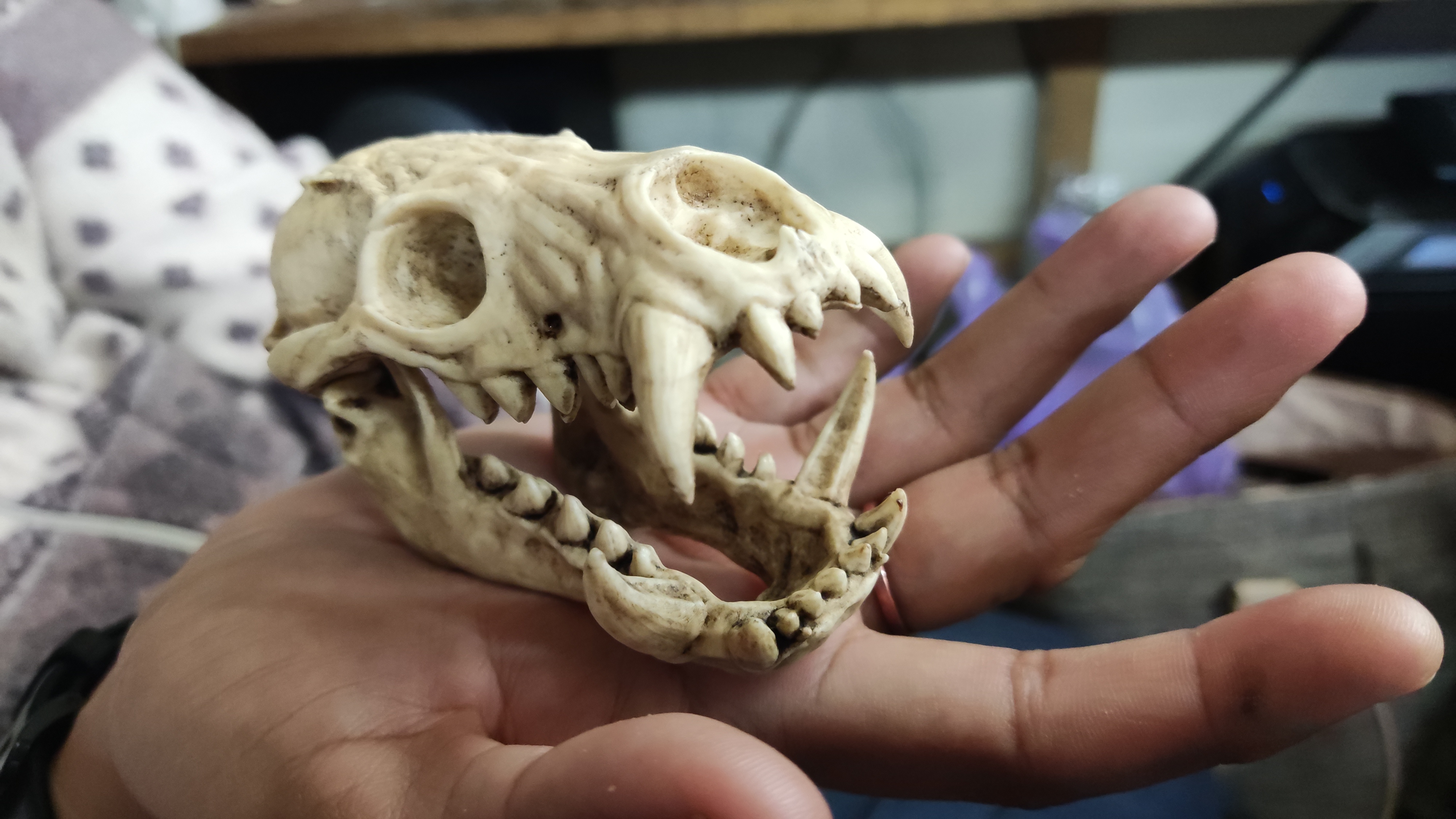 Odogaron Skull Moveable Jaw