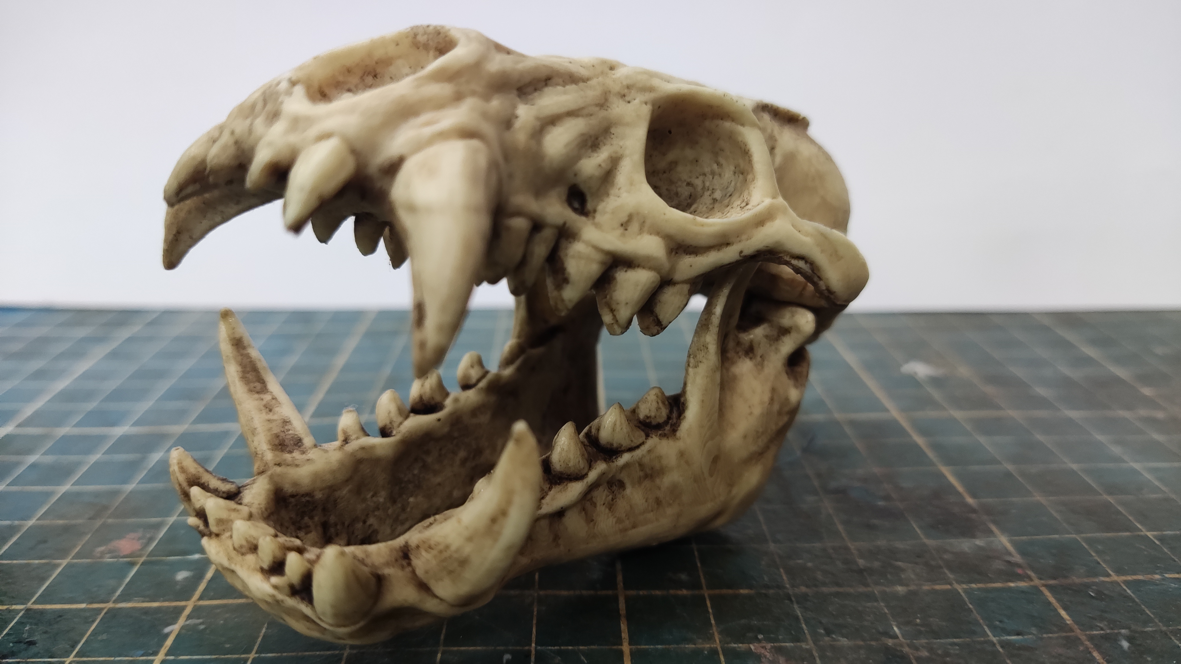 Odogaron Skull Moveable Jaw