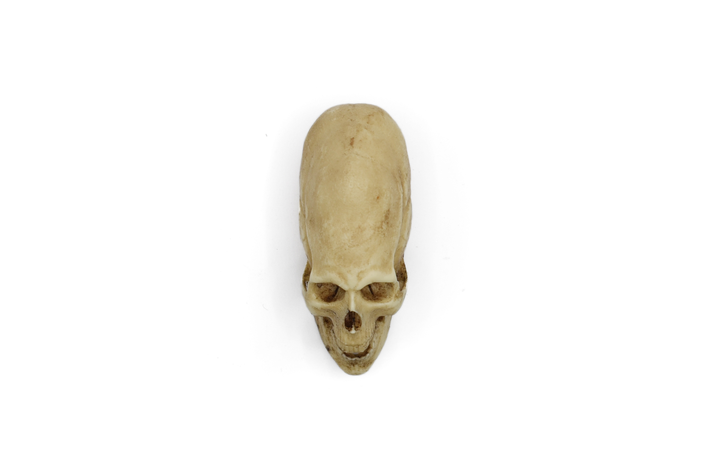 Peruvian Skull Replica 1/6 Scale Moveable Jaw