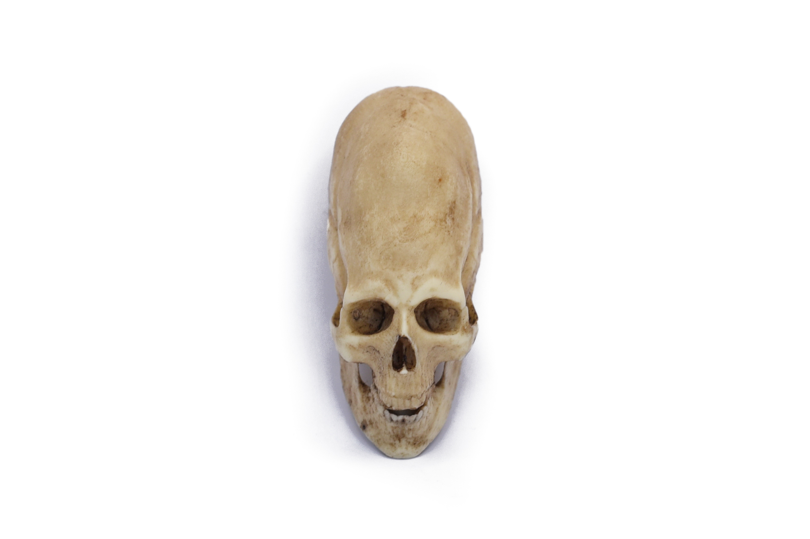Peruvian Skull Replica 1/6 Scale Moveable Jaw