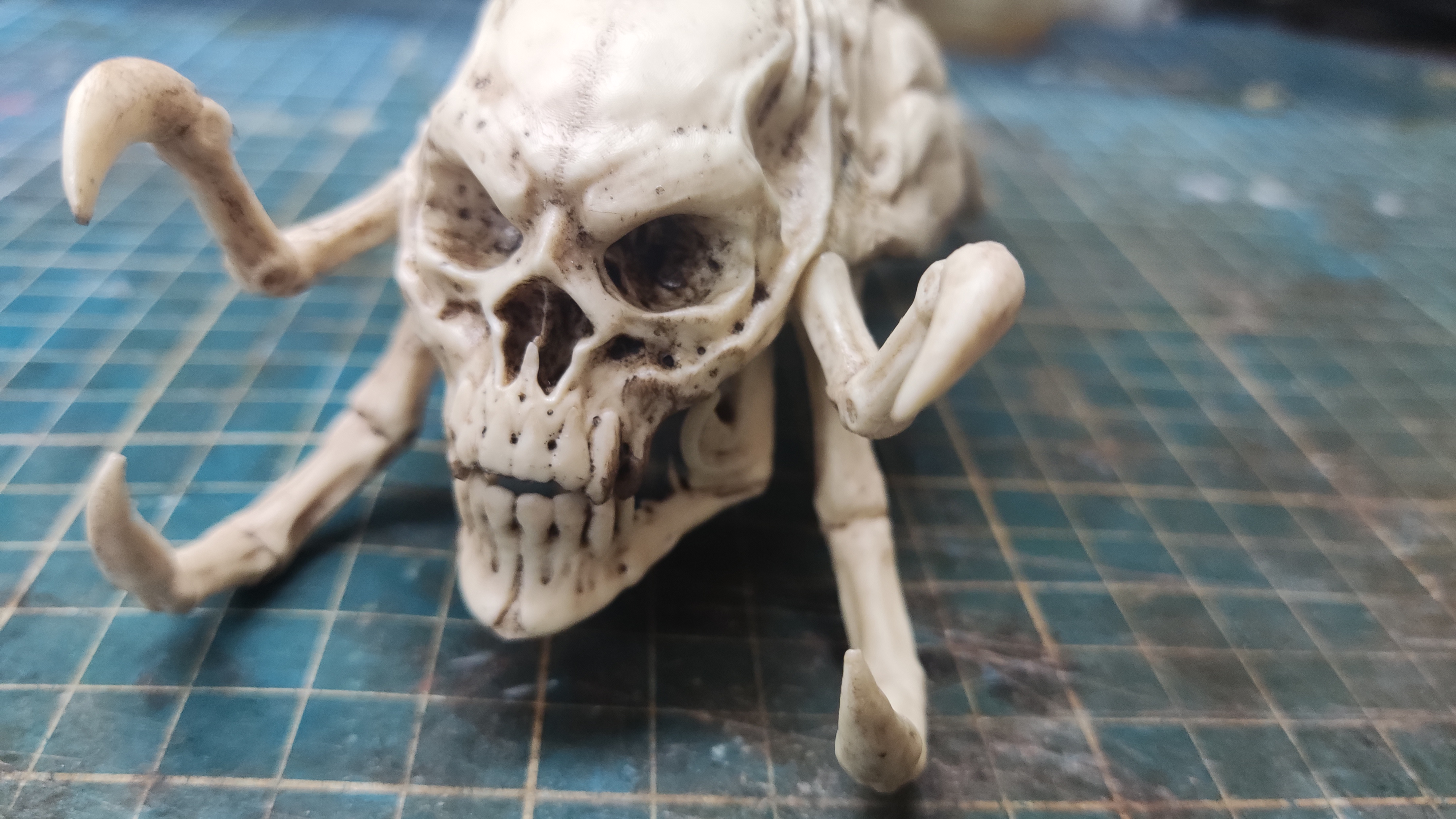 Predalien Skull based on Giger art(Aliens VS Predator)