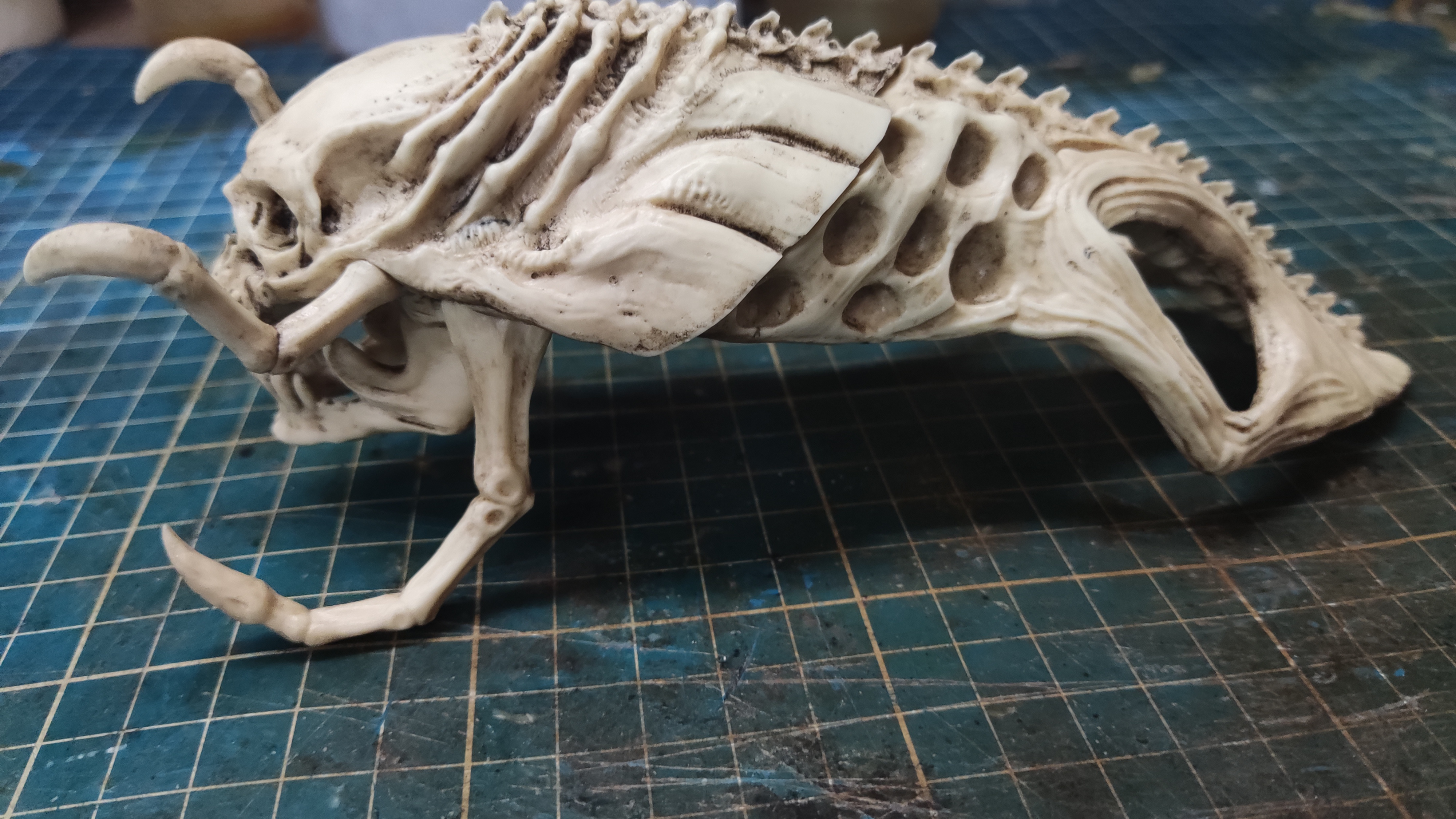 Predalien Skull based on Giger art(Aliens VS Predator)