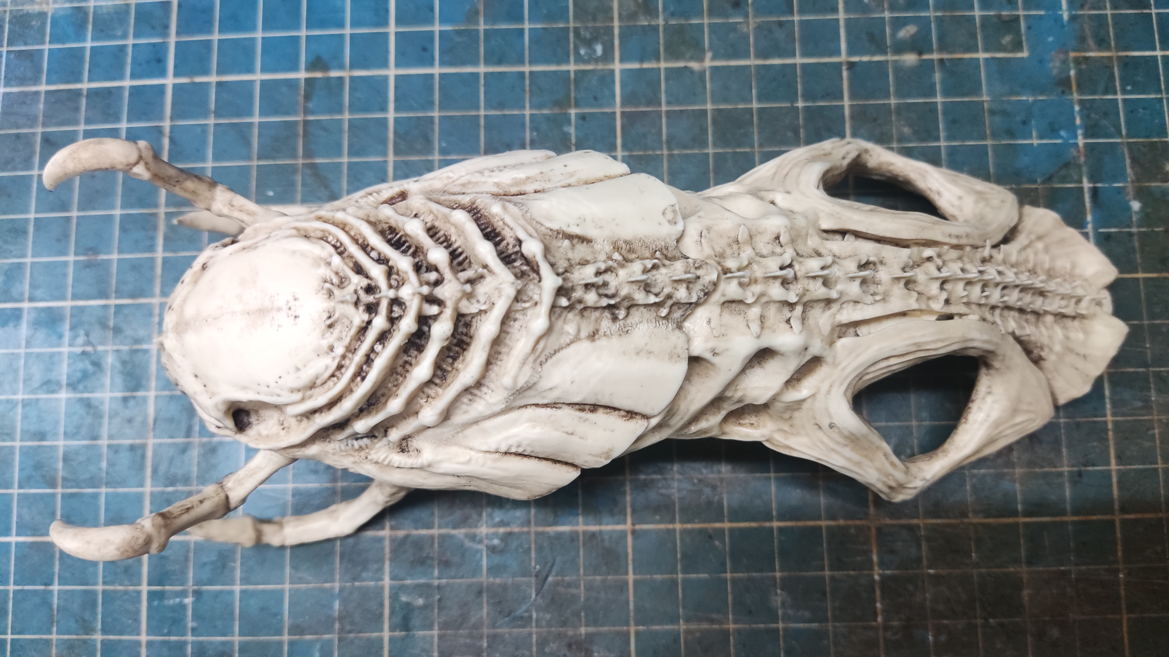 Predalien Skull based on Giger art(Aliens VS Predator)