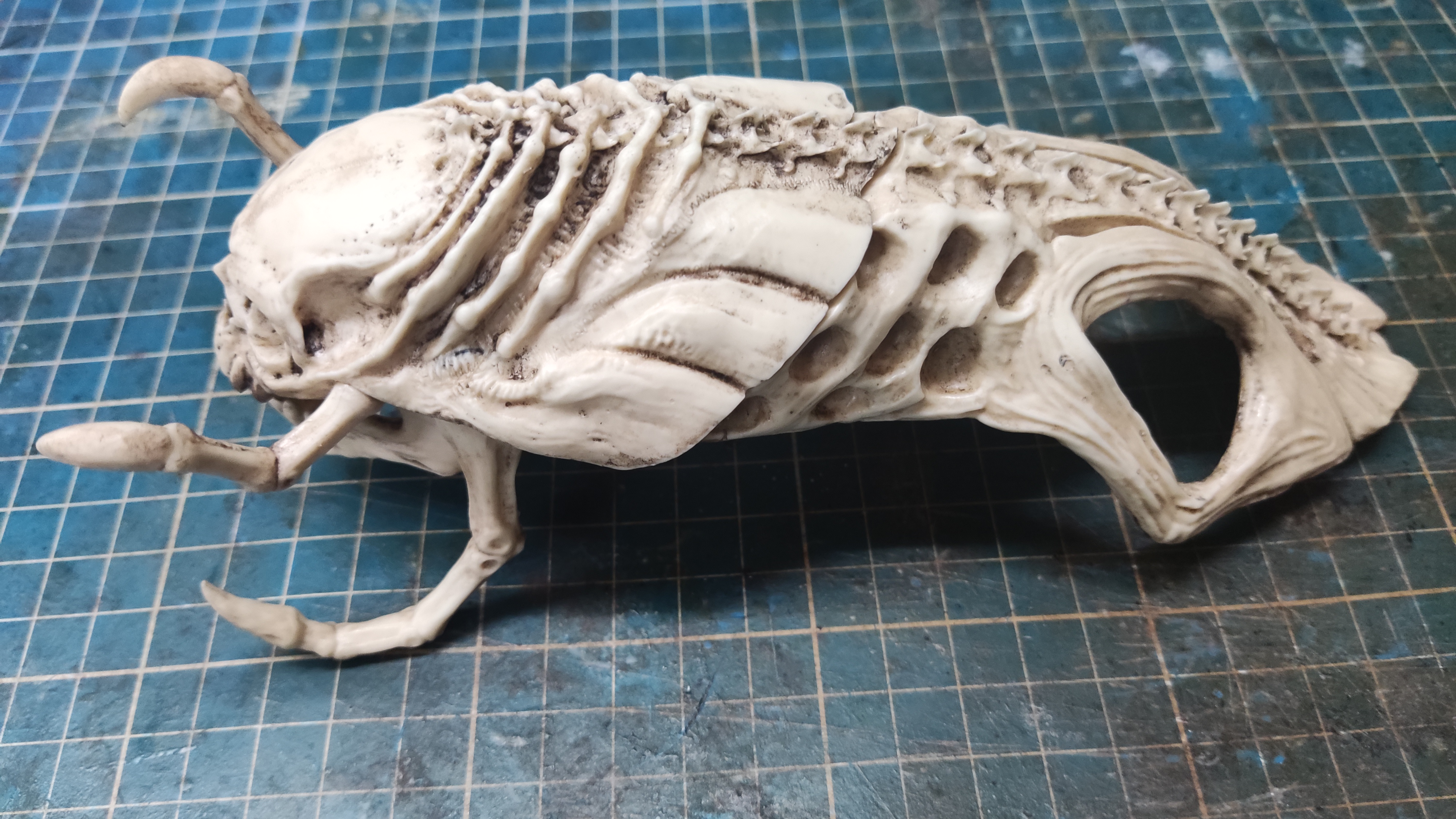Predalien Skull based on Giger art(Aliens VS Predator)