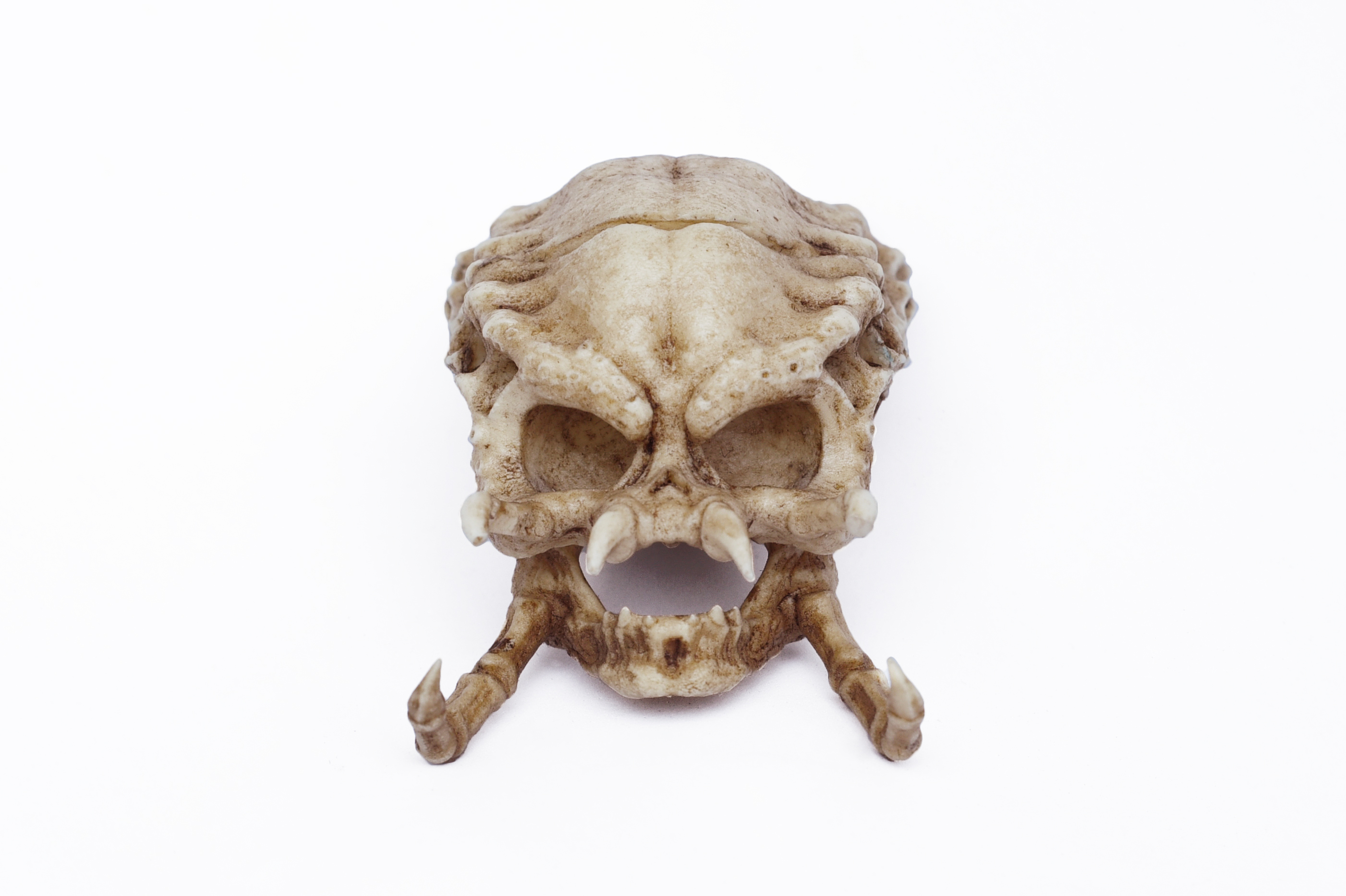 Predator skull 1/6 scale